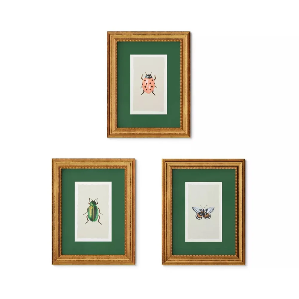 Rifle Paper Co. x Target 11"x14" Gold Foil Insect Framed Wall Art Prints Set of 3
