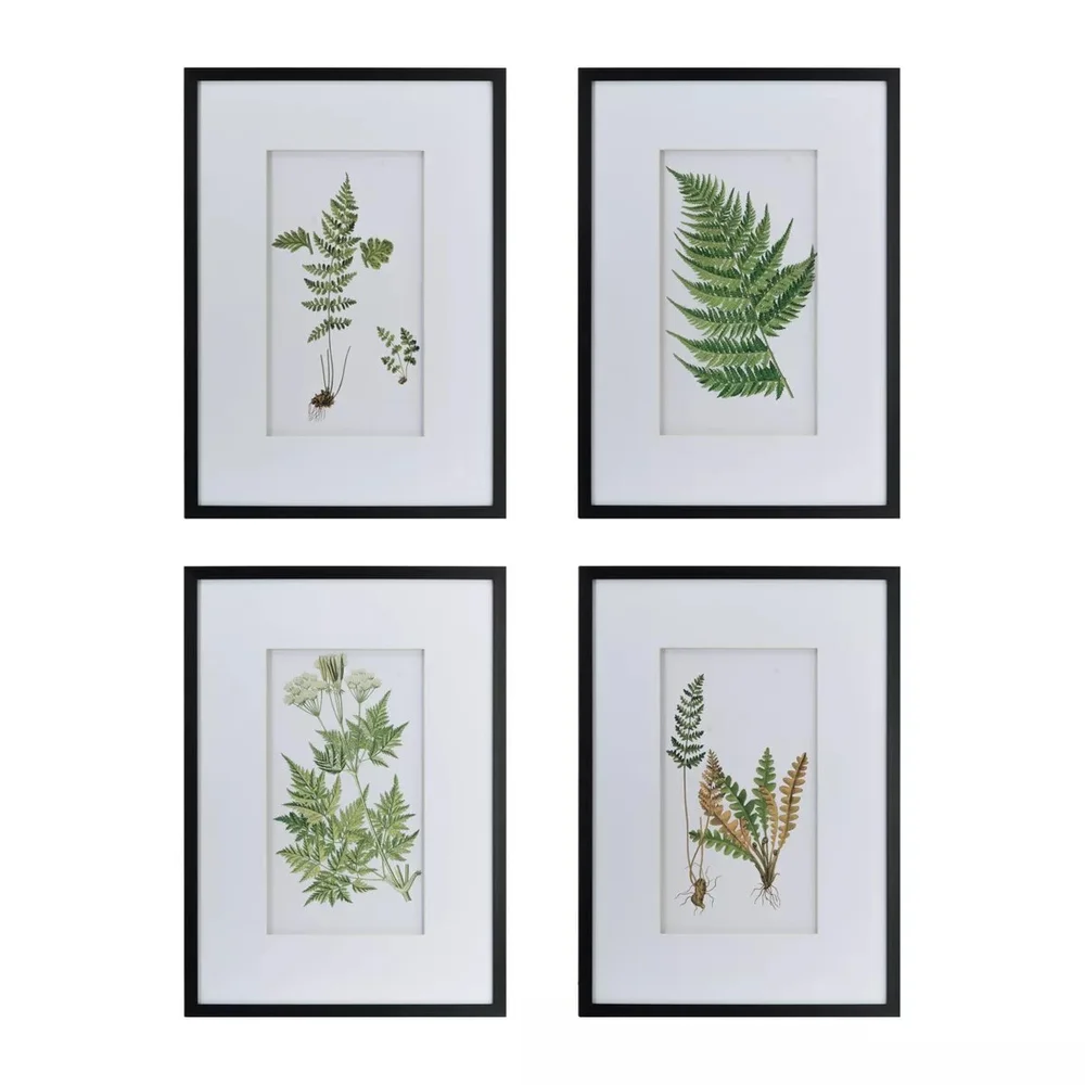 20" x 28" Botanical Fern Wall Art Black/White