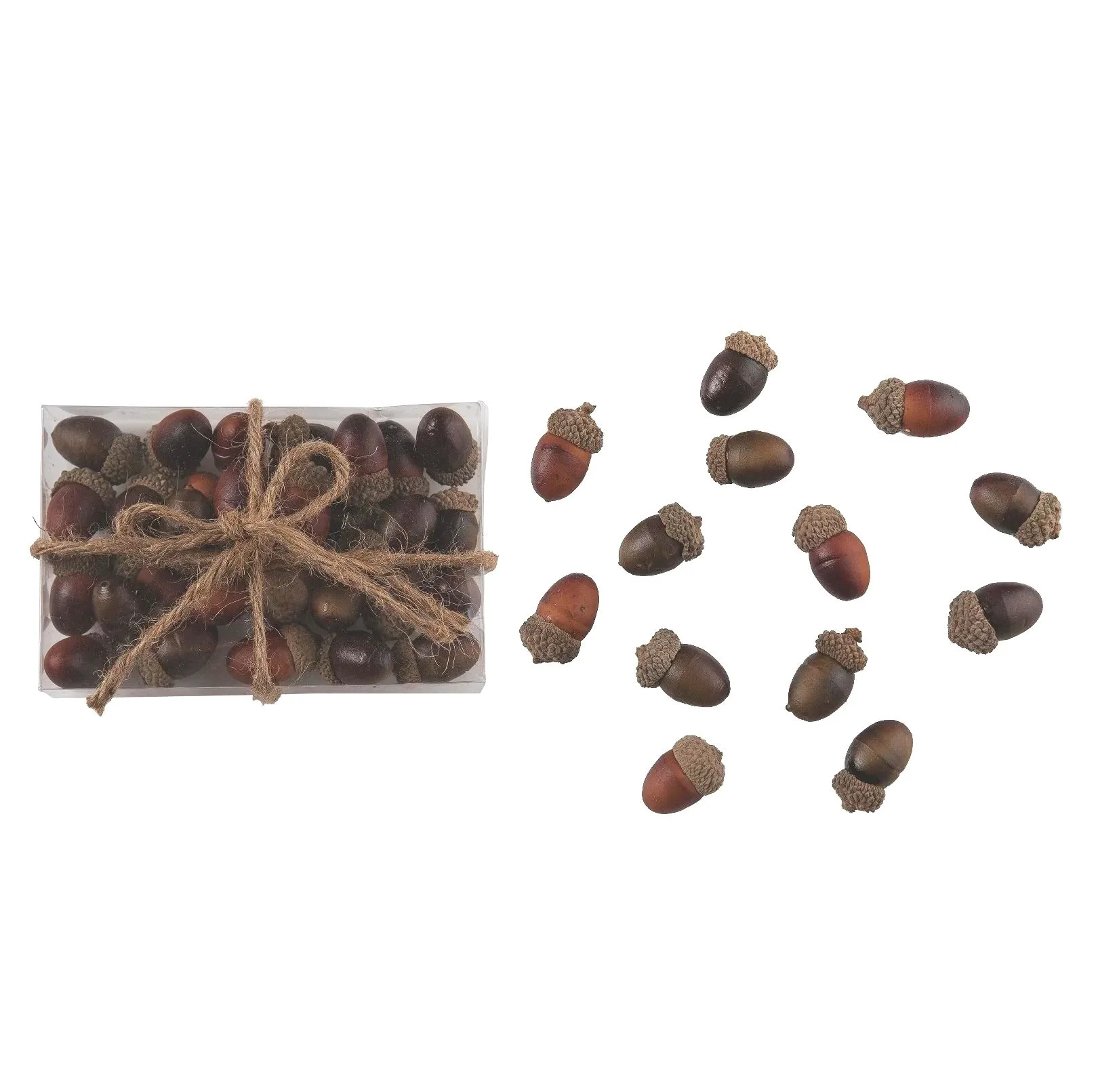 6.3 in Brown Harvest Acorns with Box Display for Fall and Harvest Decorative Objects
