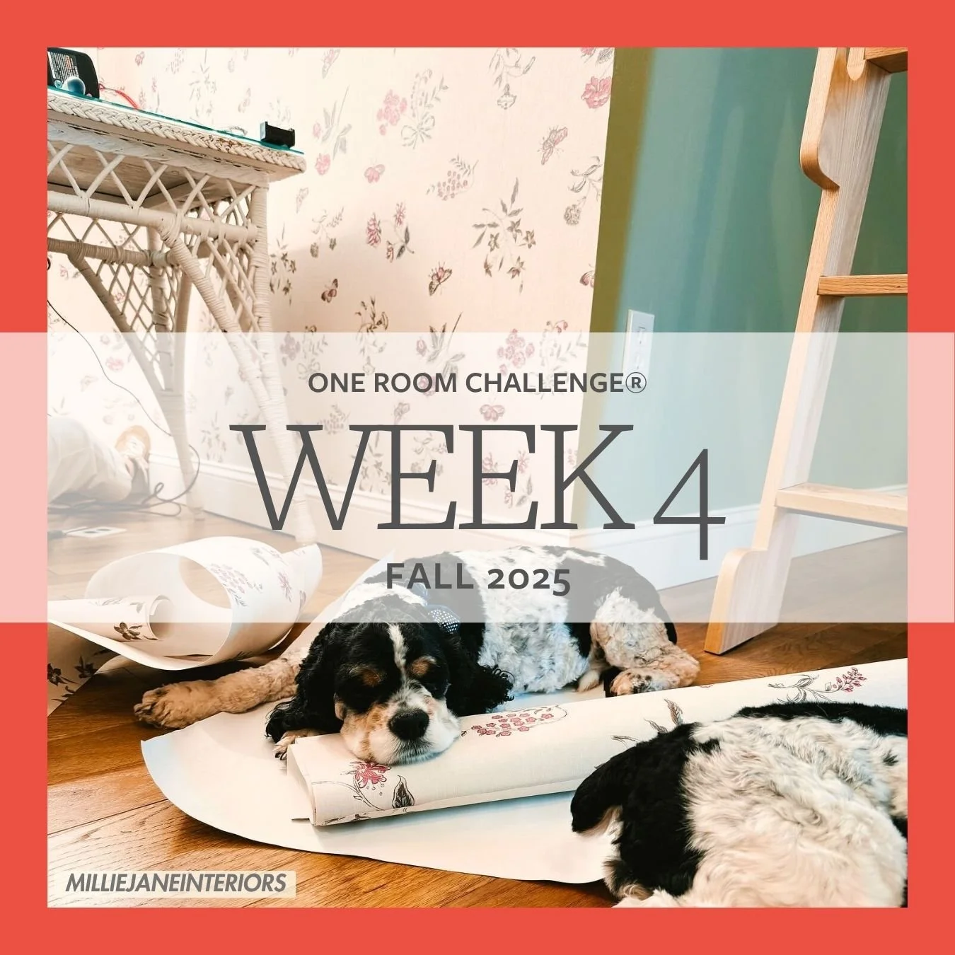Fall 2025 - Week 4