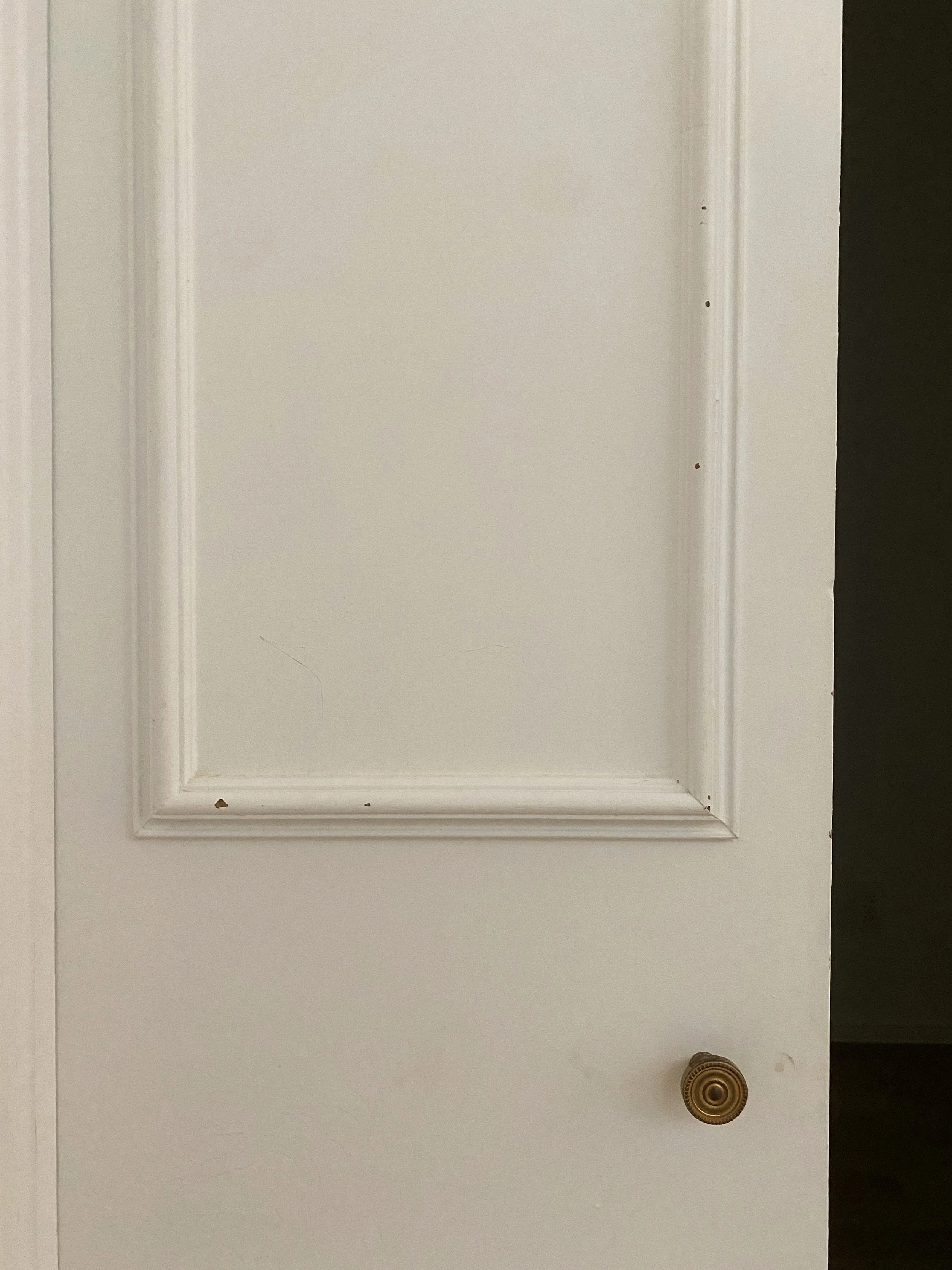 door-before.jpg