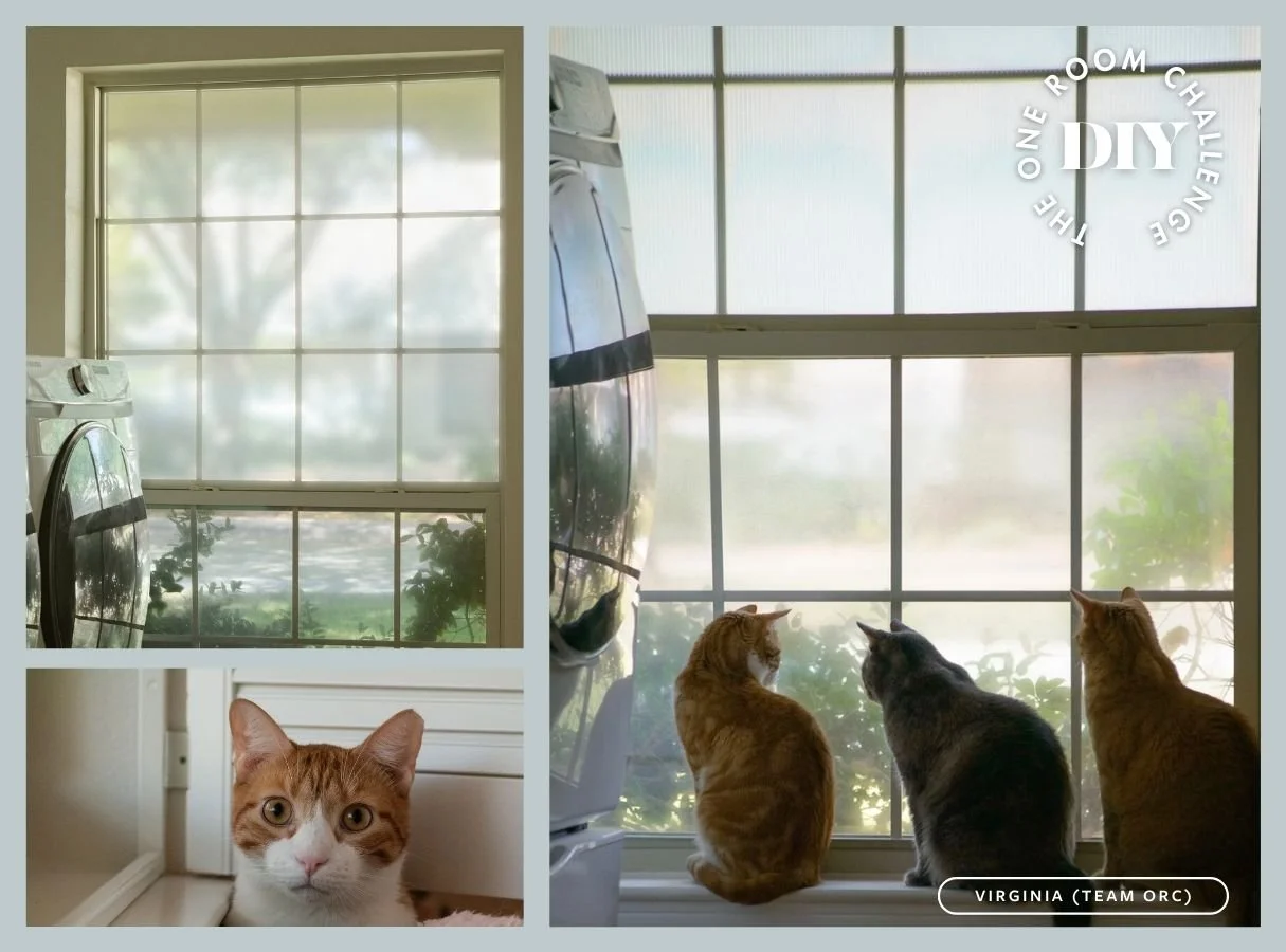 DIY: A Cat-Proof Window Treatment