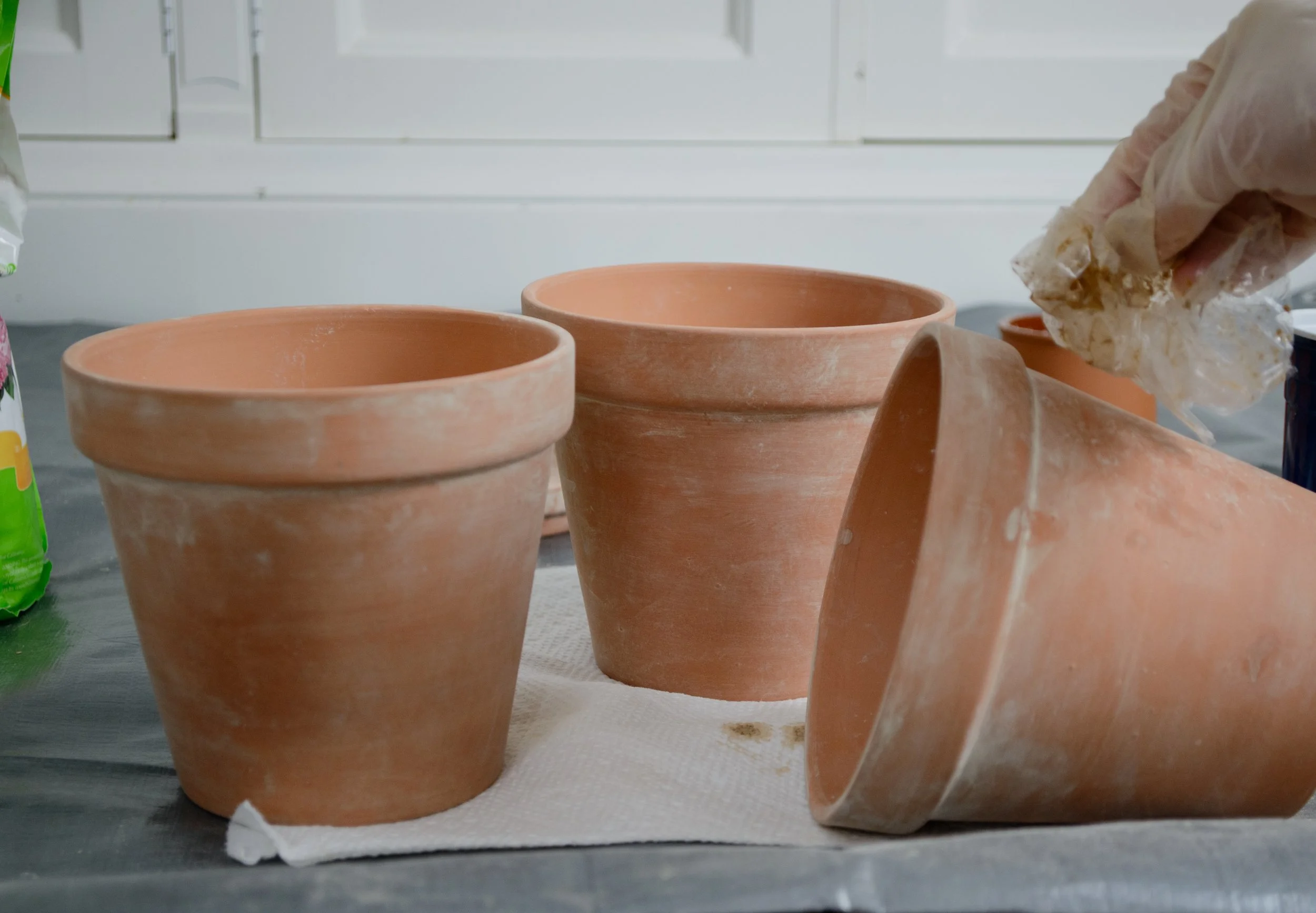 oneroomchallenge-aged-terracotta-pots-DIY-13.jpg