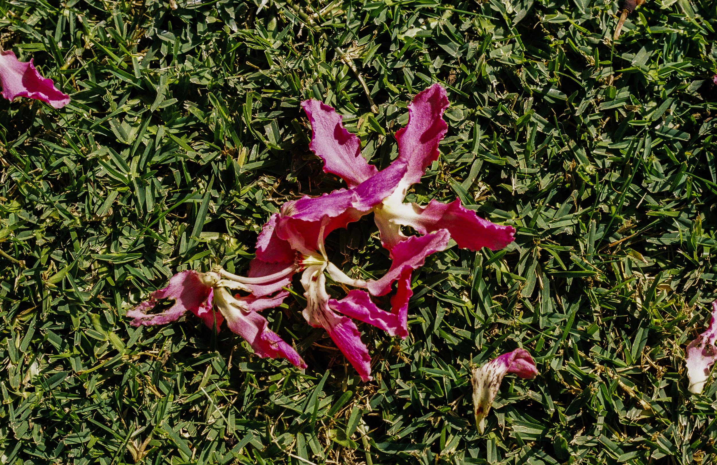 outside-4 copy.jpg