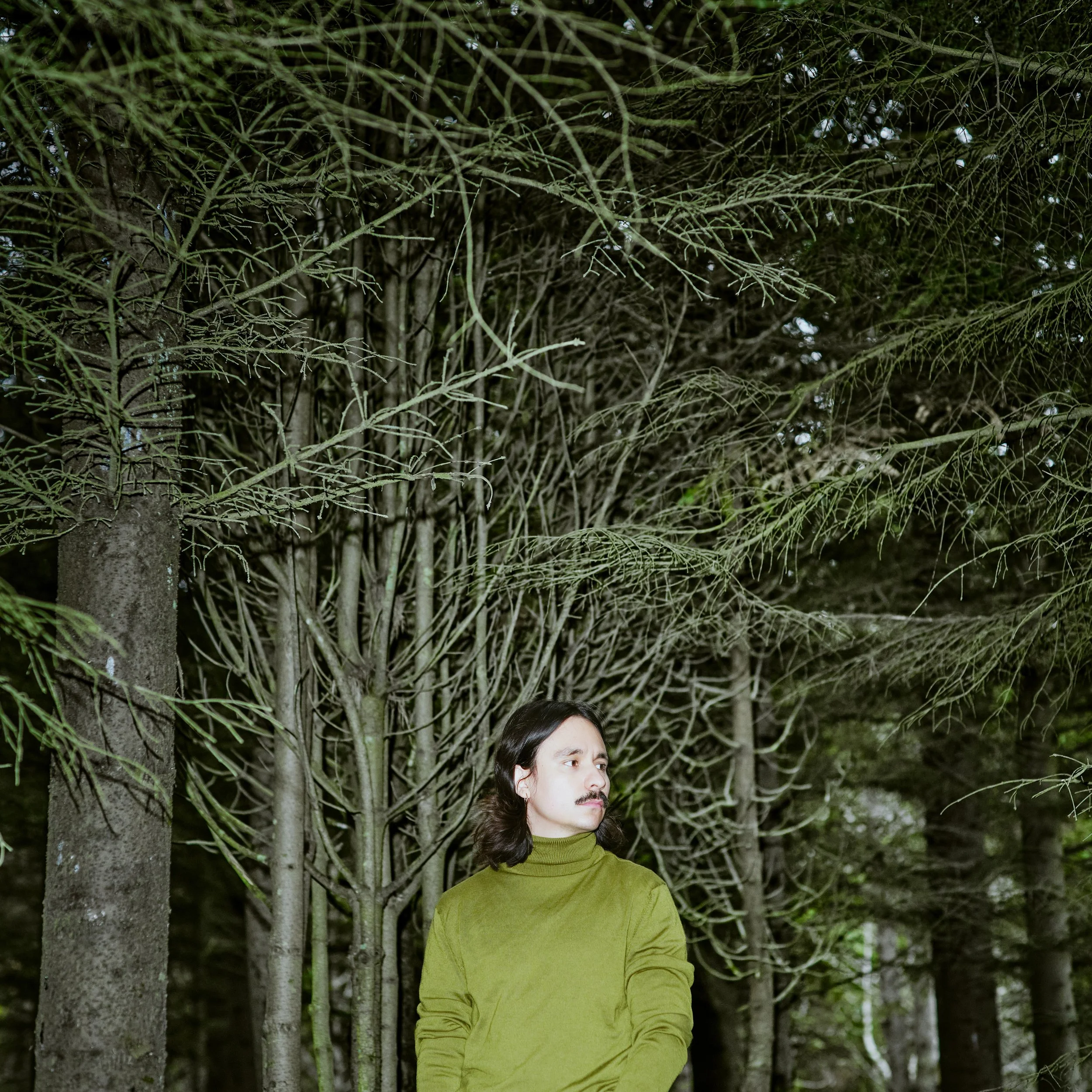 Photo by  Sandijs Ruluks