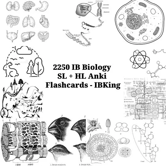 IB Biology Anki Flashcards — IBKing