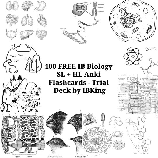 Biology SL+HL TRIAL Anki Flashcard Set (125 Cards) [WATERMARKED] — IBKing