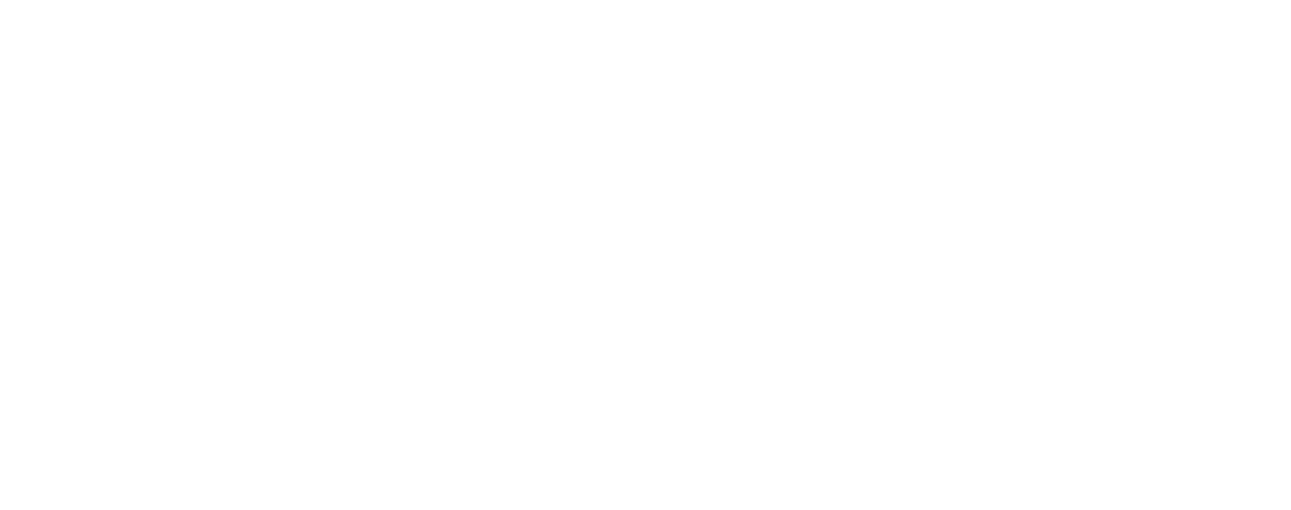 BacFlix Media 