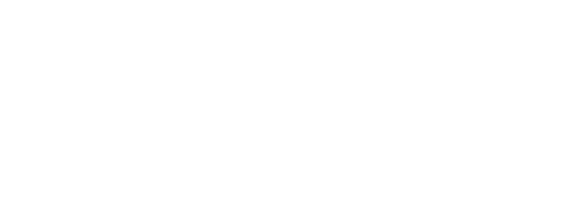 BacFlix Media 