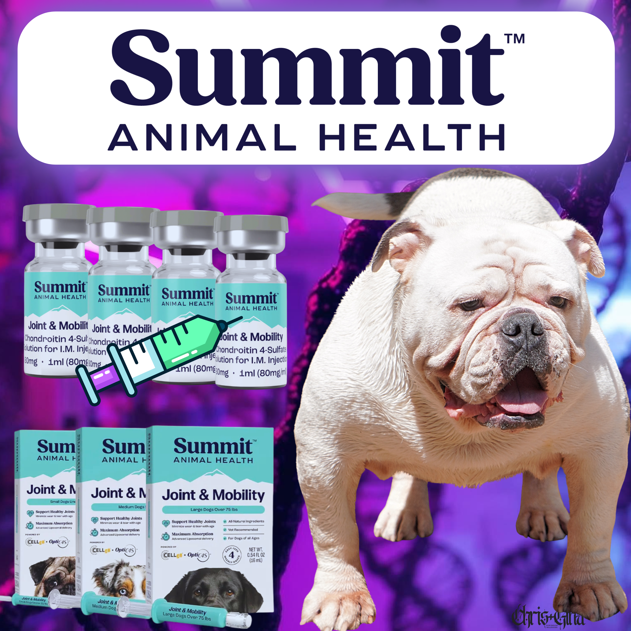 Sustainable Supply Chain Forum