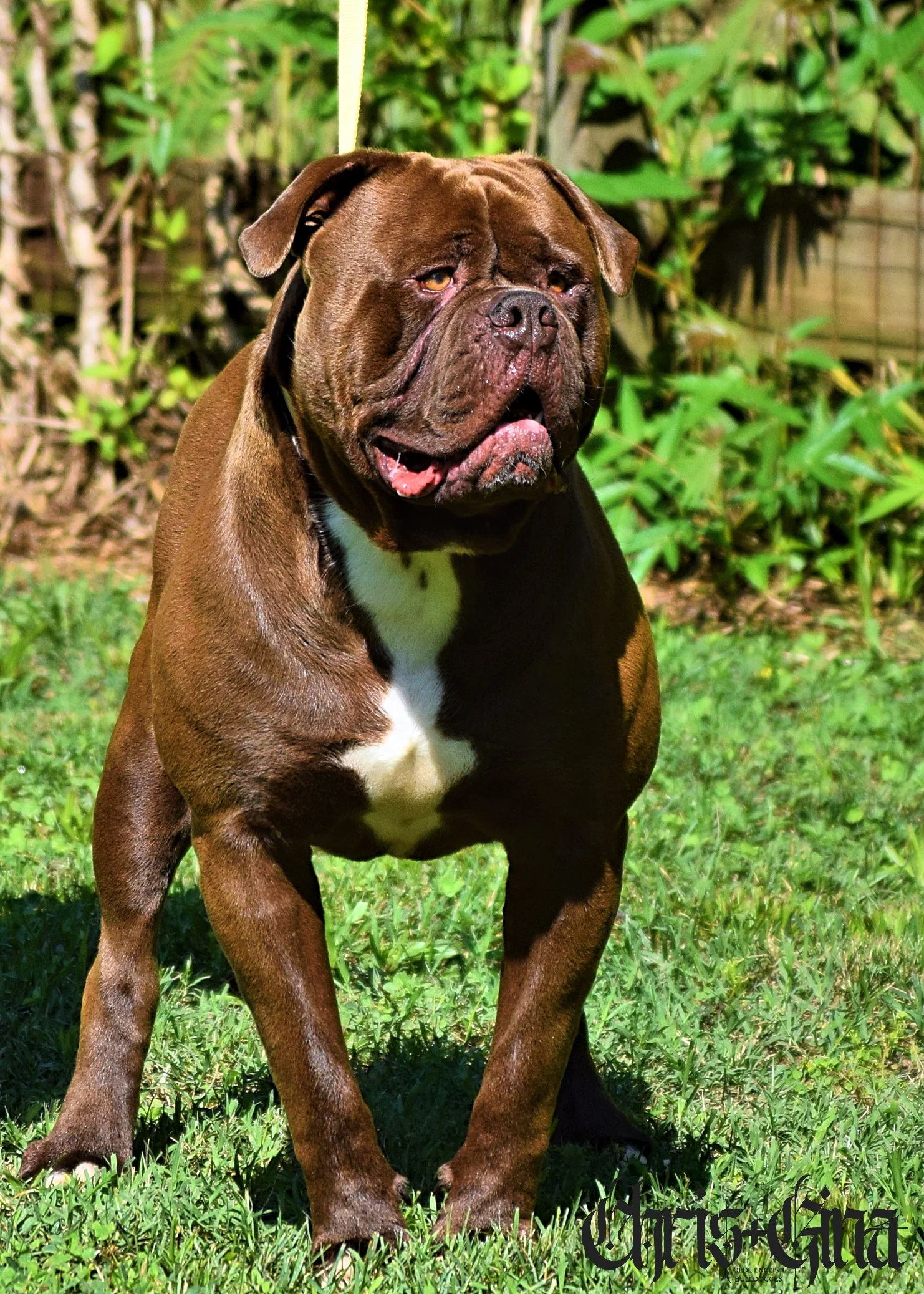 DSC_0001.jpg
