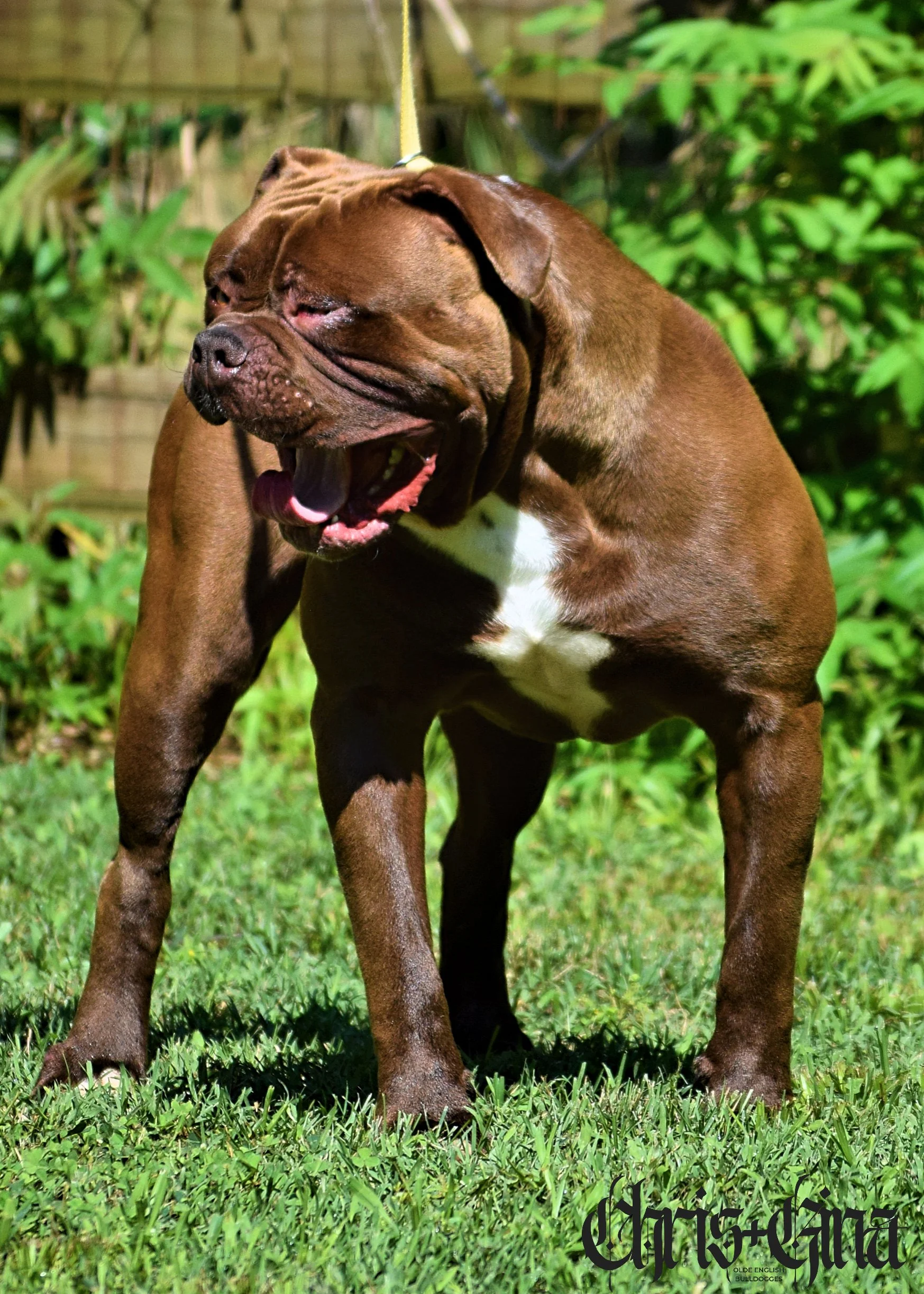 DSC_0006.JPG