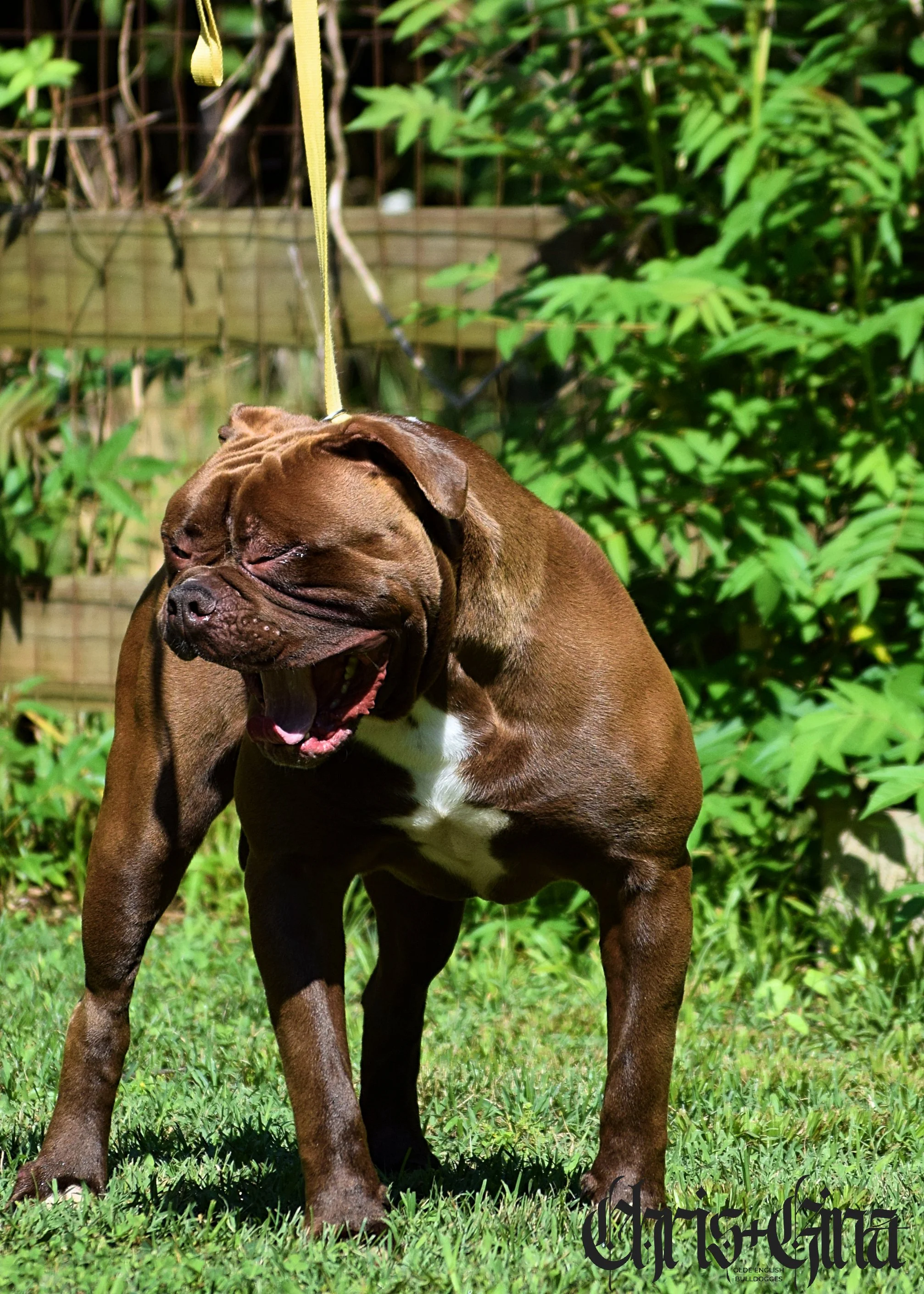 DSC_0007.JPG