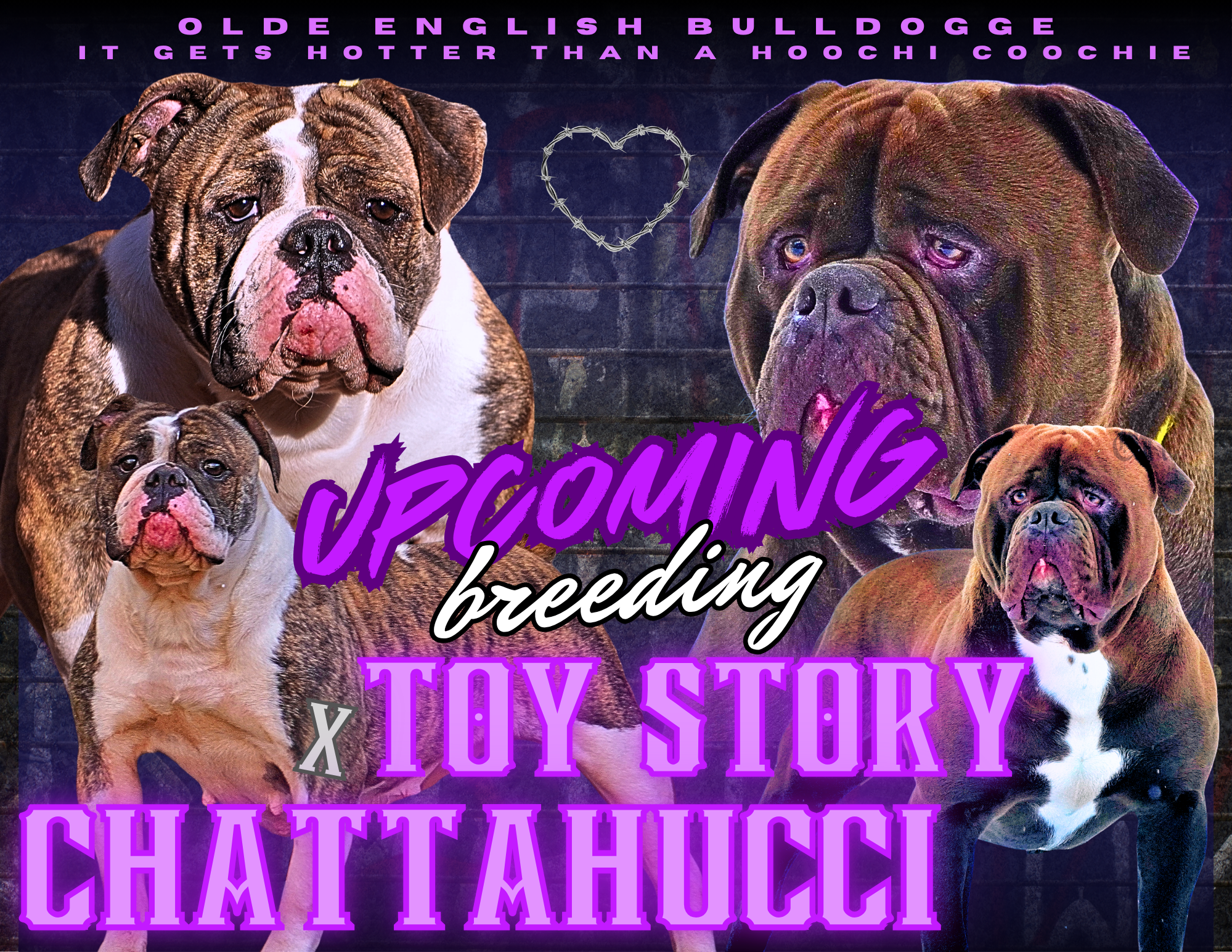 Chattahucci x Toy Story.png