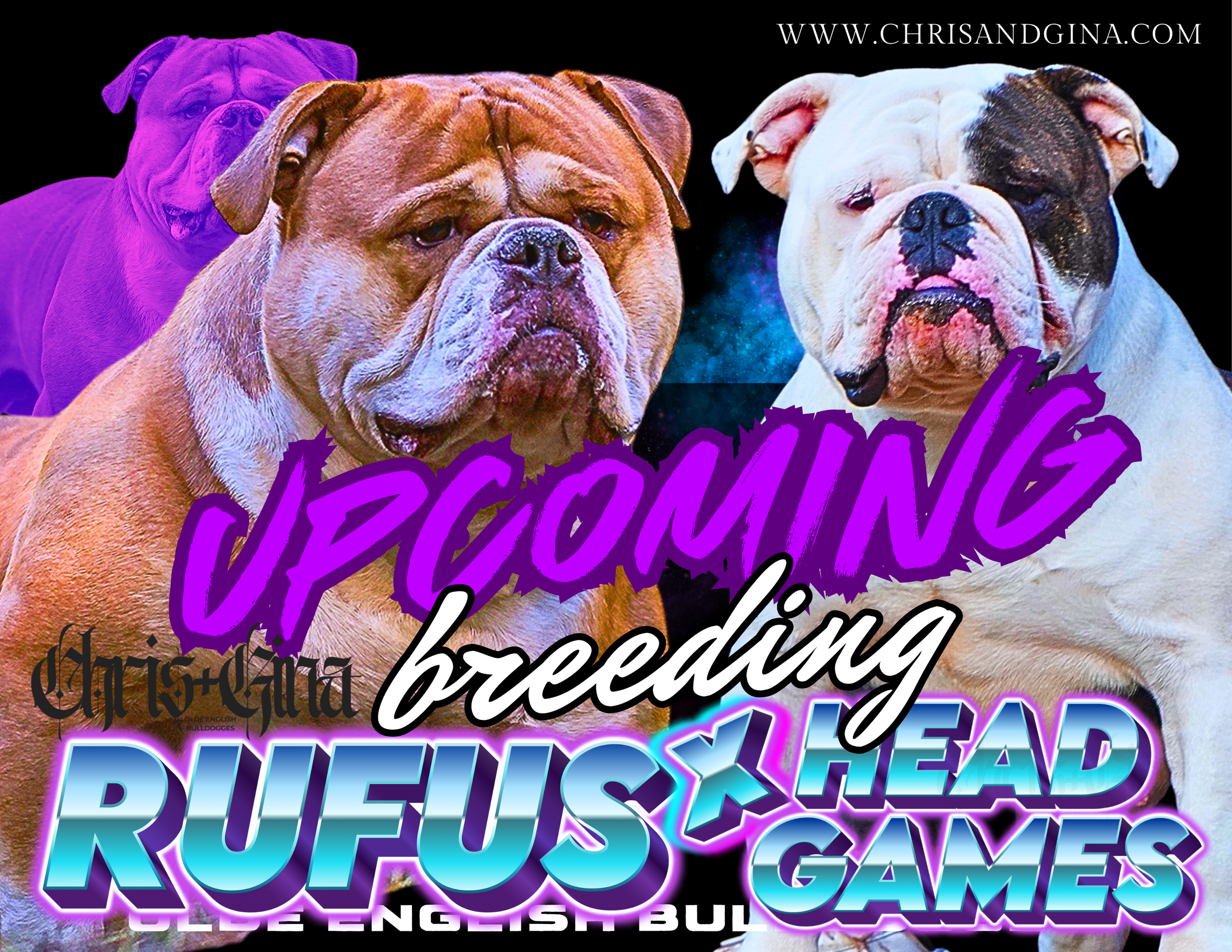 Head Games x Rufus.png