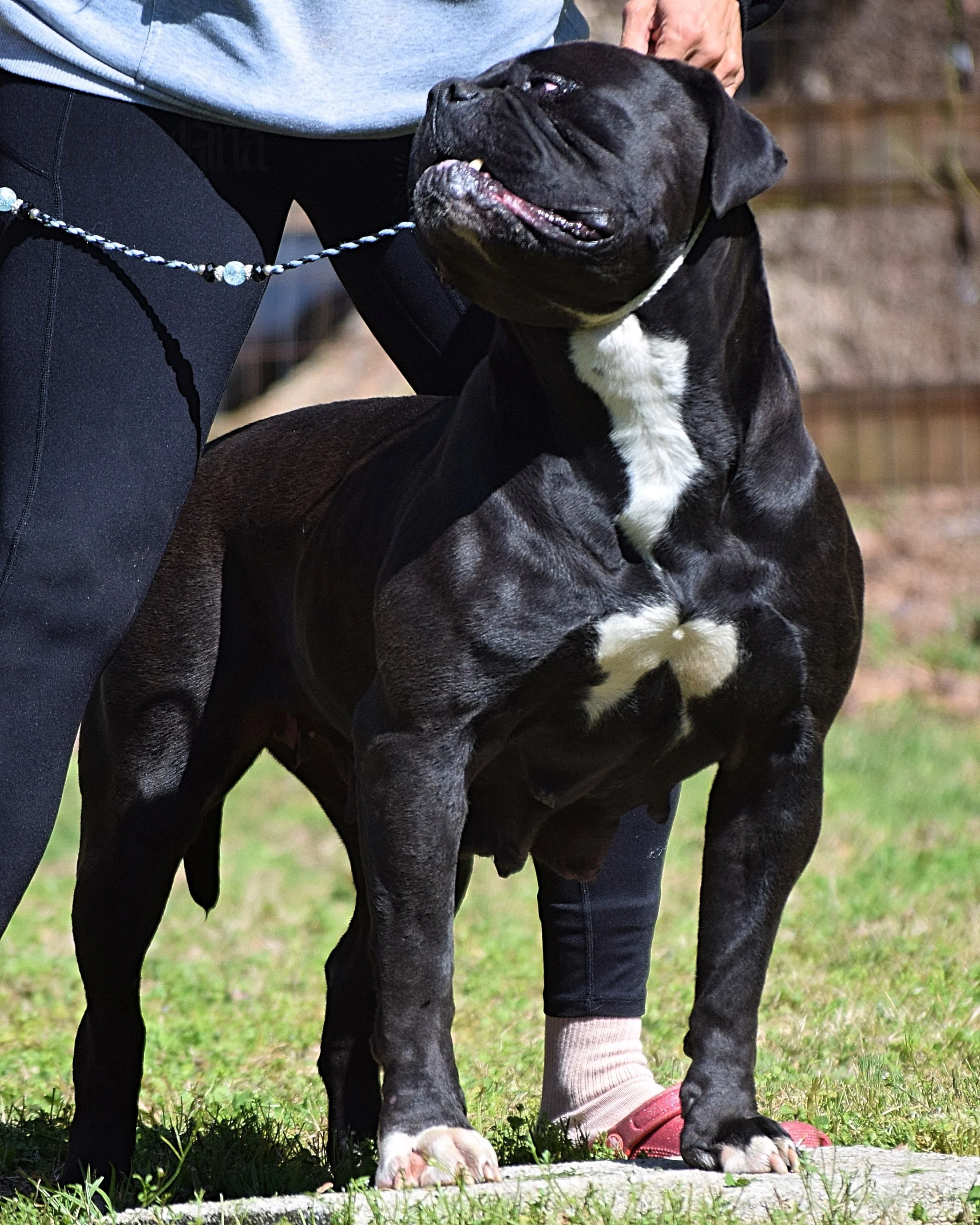 DSC_0775.JPG