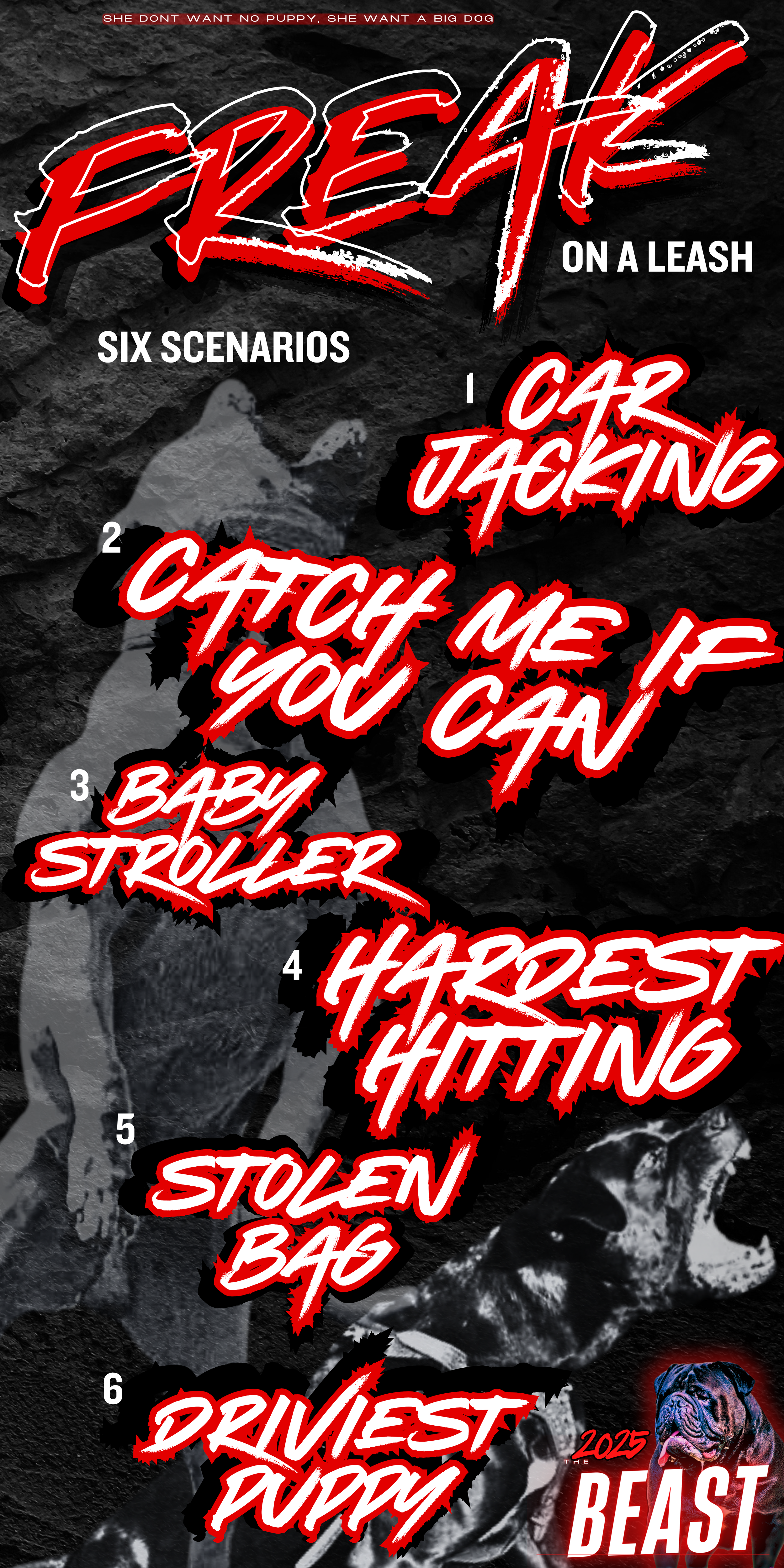 FREAK FLYER.png