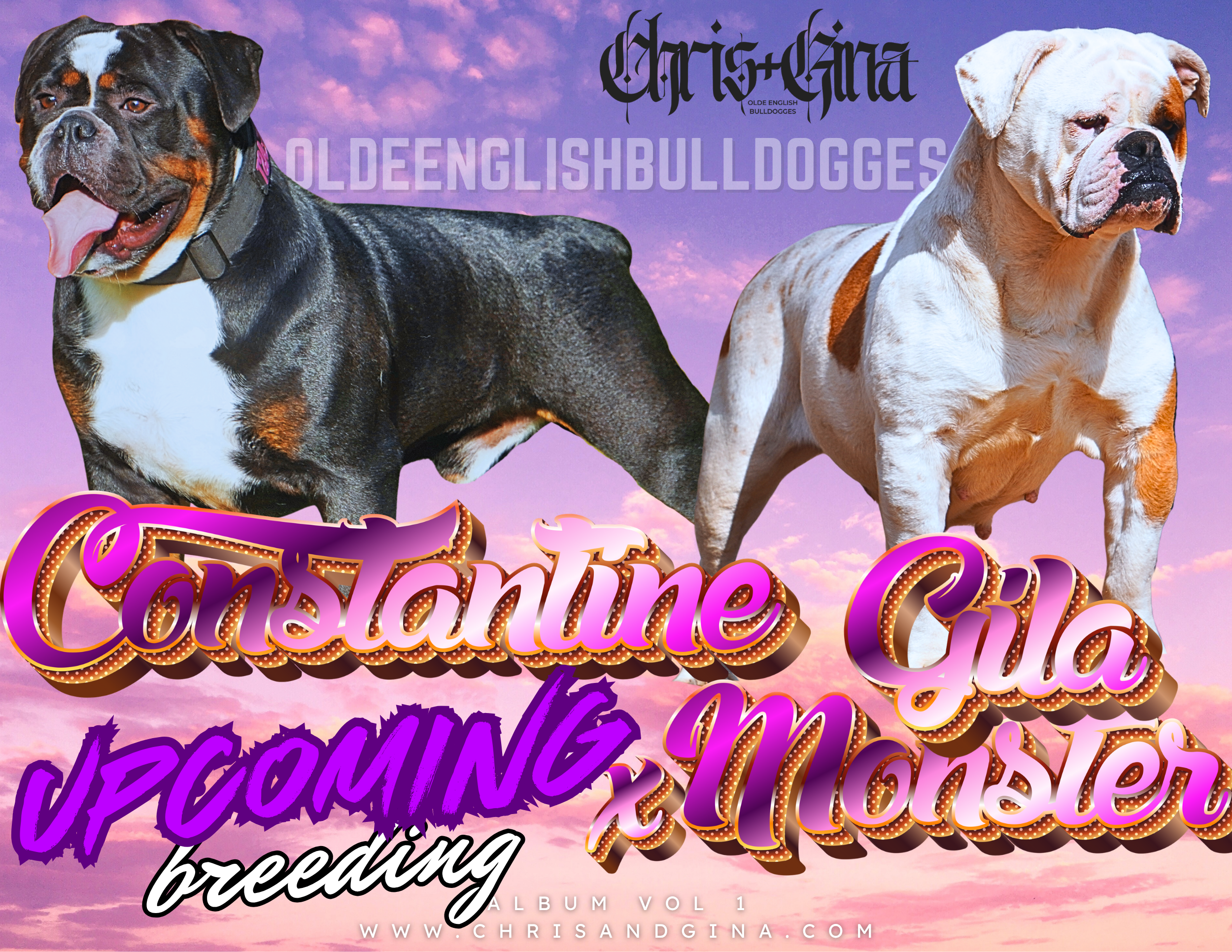 Gila monster x Constantine.png