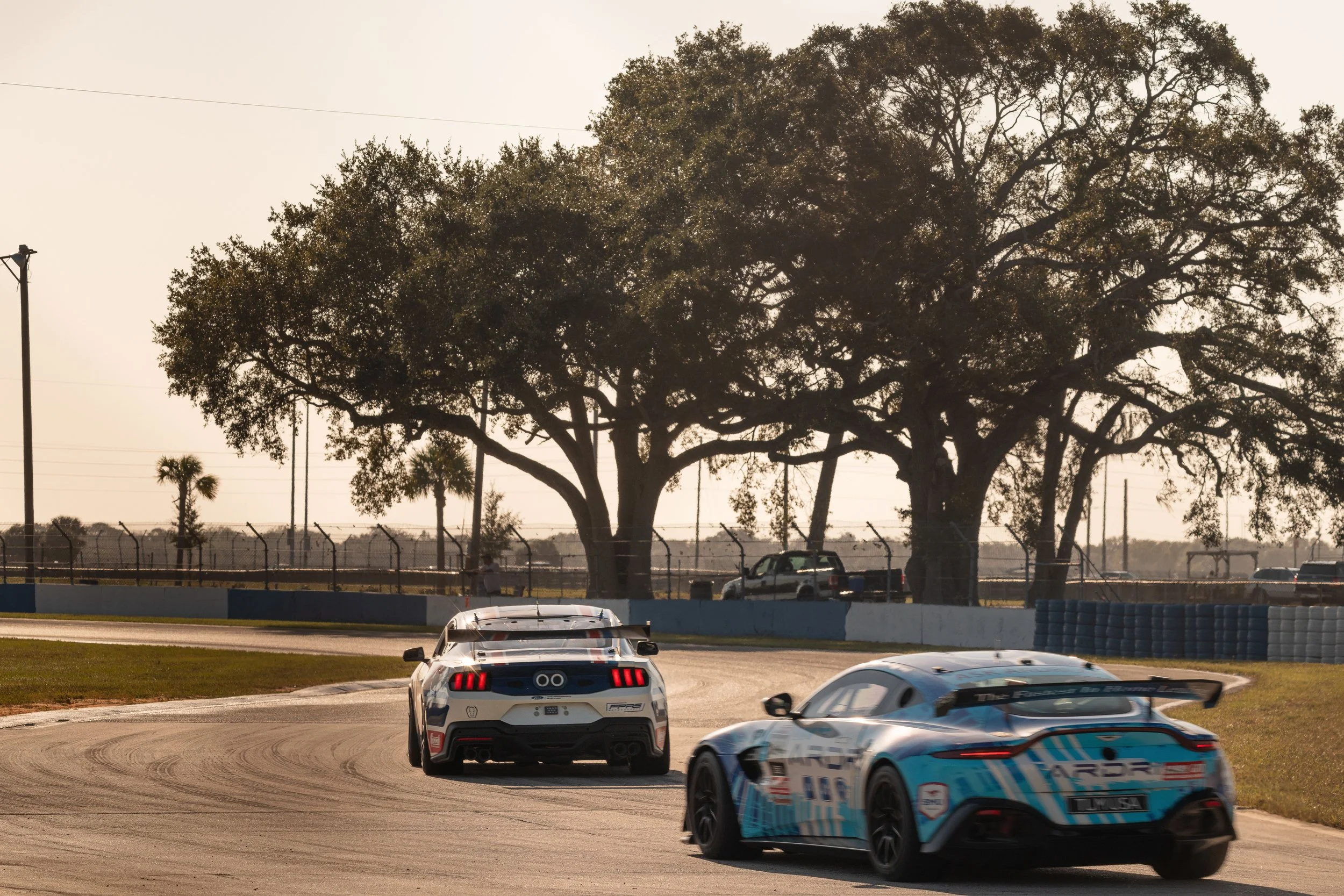 WRL-Sebring-100.jpg
