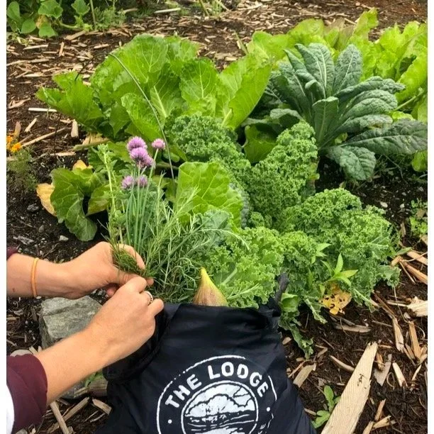 MIND. Closing The Circle.