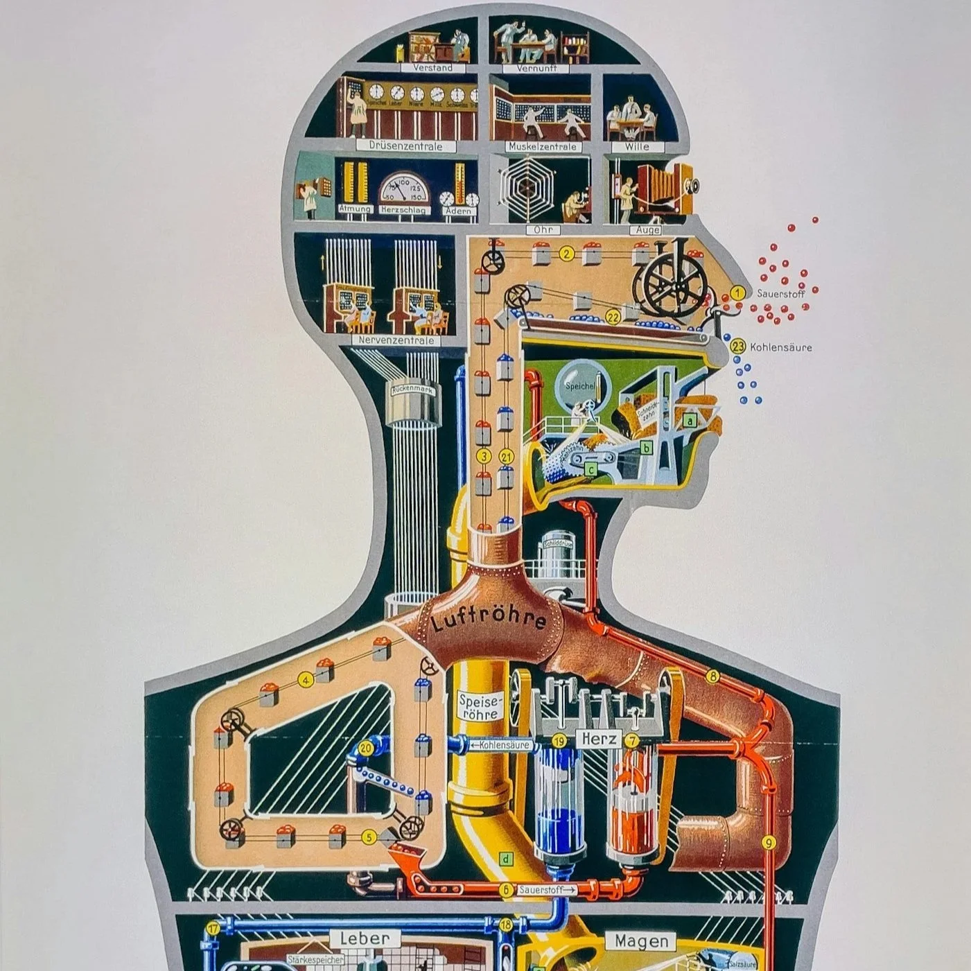 BODY. Treating The Whole Person. 