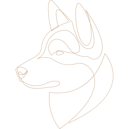 Untitled design (17).png