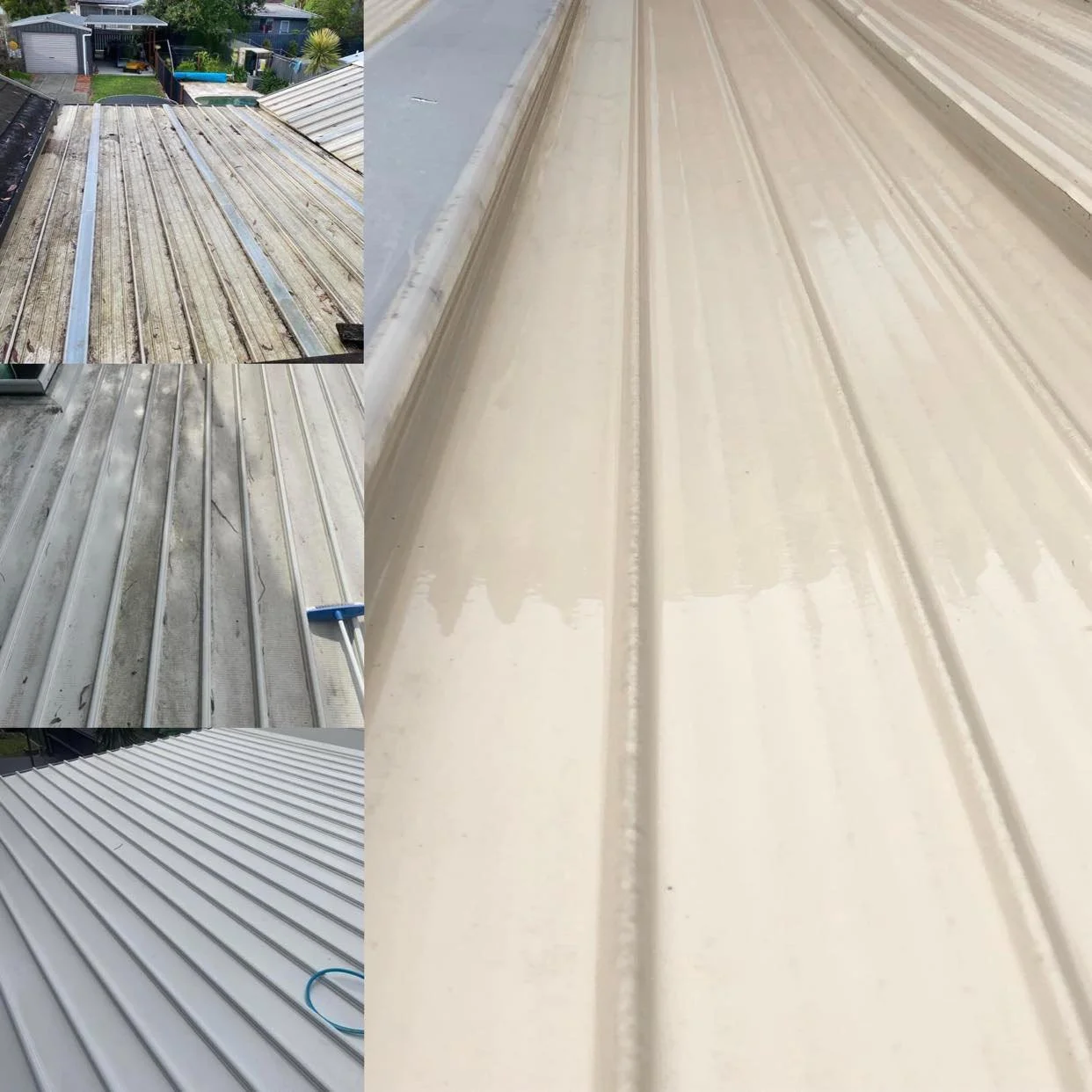 Roof Washing or Soft Washing.jpg