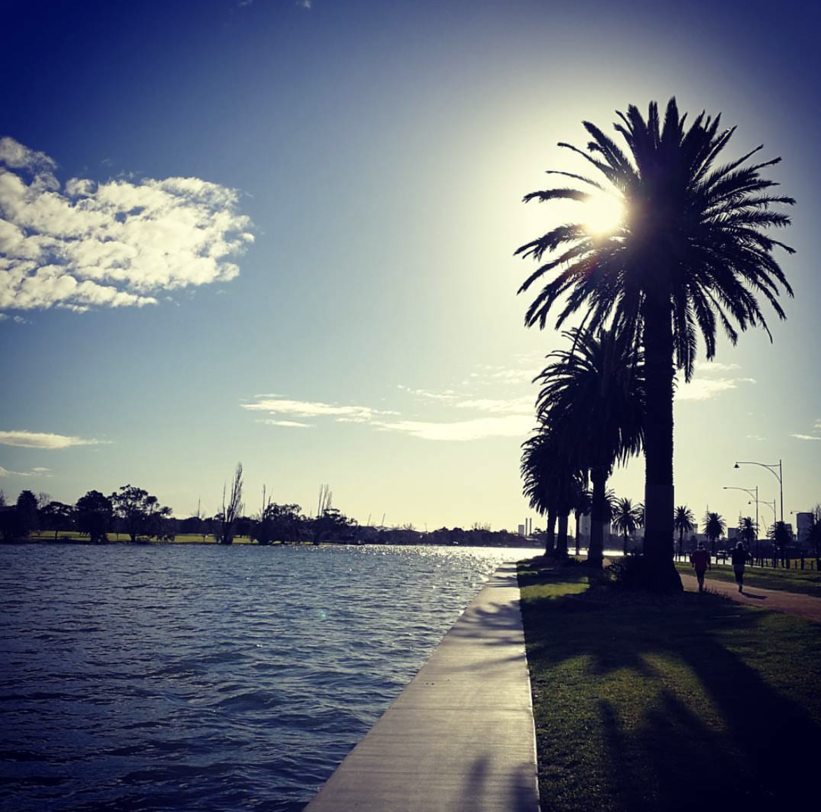 A lakeside scene with tall palm trees along a pathway, the sun shining behind a palm tree, creating a silhouette effect, with water on one side and a grassy park on the other, under a partly cloudy sky.