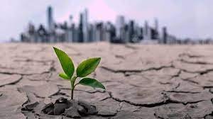 climate change.jpeg