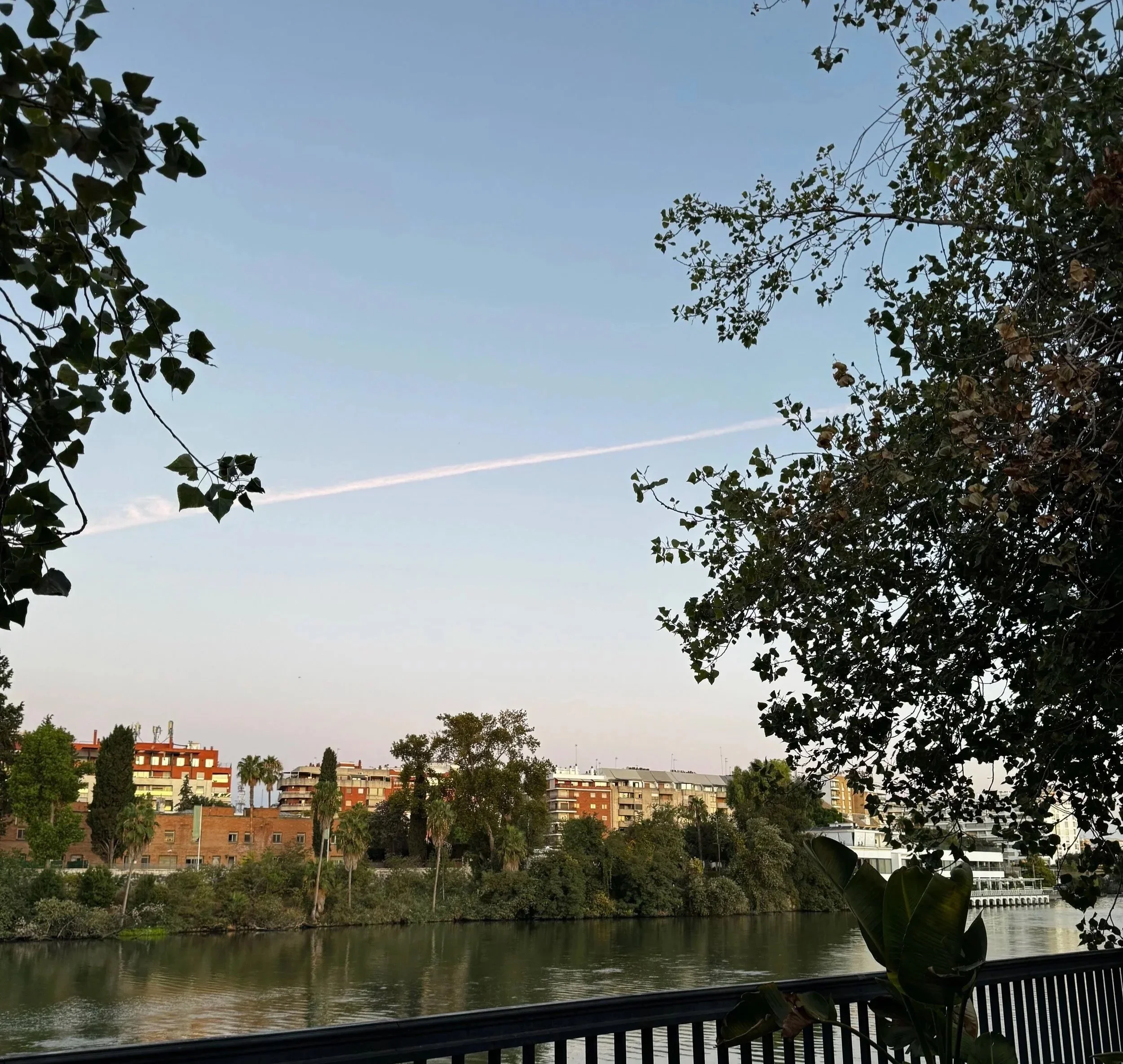 sevilla, or a reckoning with the current
