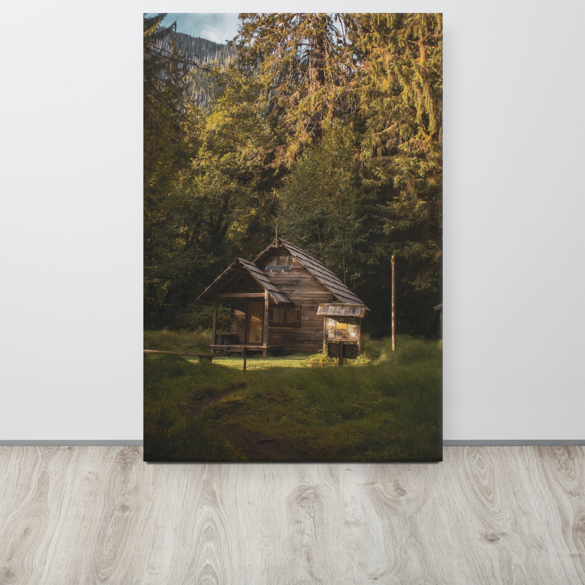 thin-canvas-(in)-24x36-front-642cfc38803ce.jpg