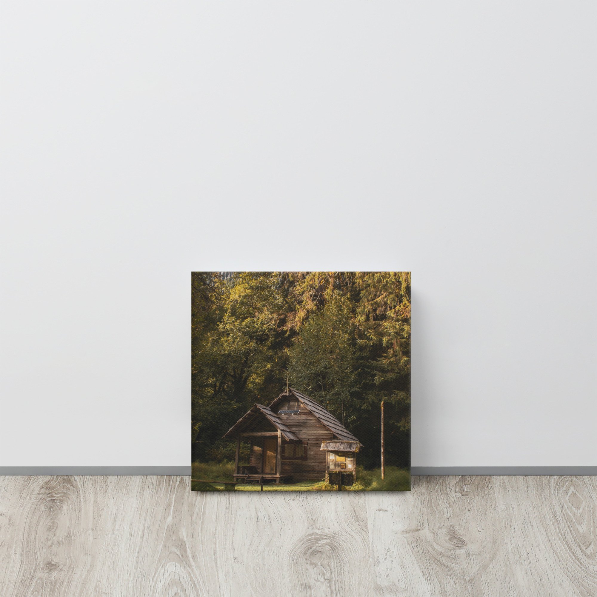 thin-canvas-(in)-12x12-front-642cfc3883328.jpg
