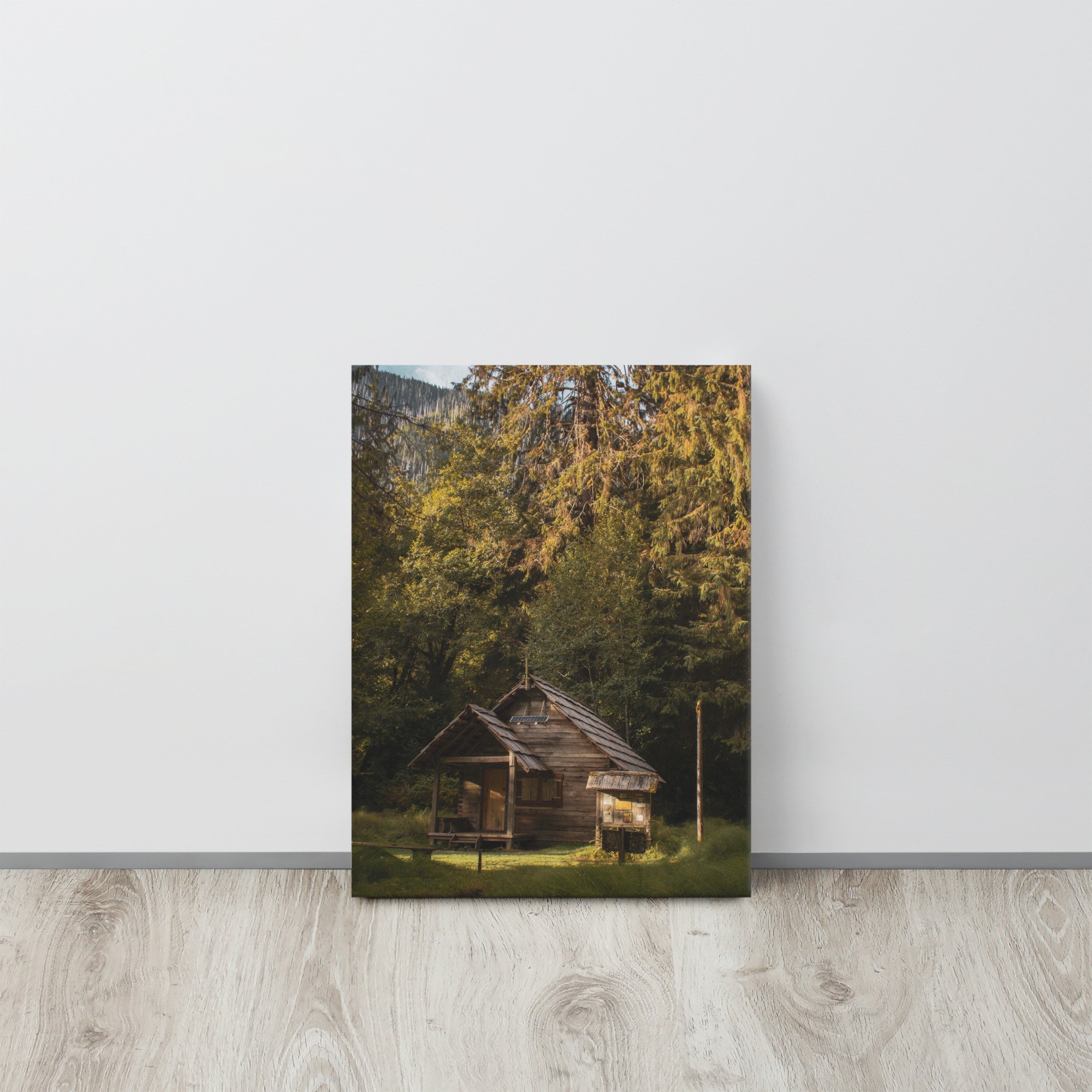 thin-canvas-(in)-12x16-front-642cfc38833b0.jpg