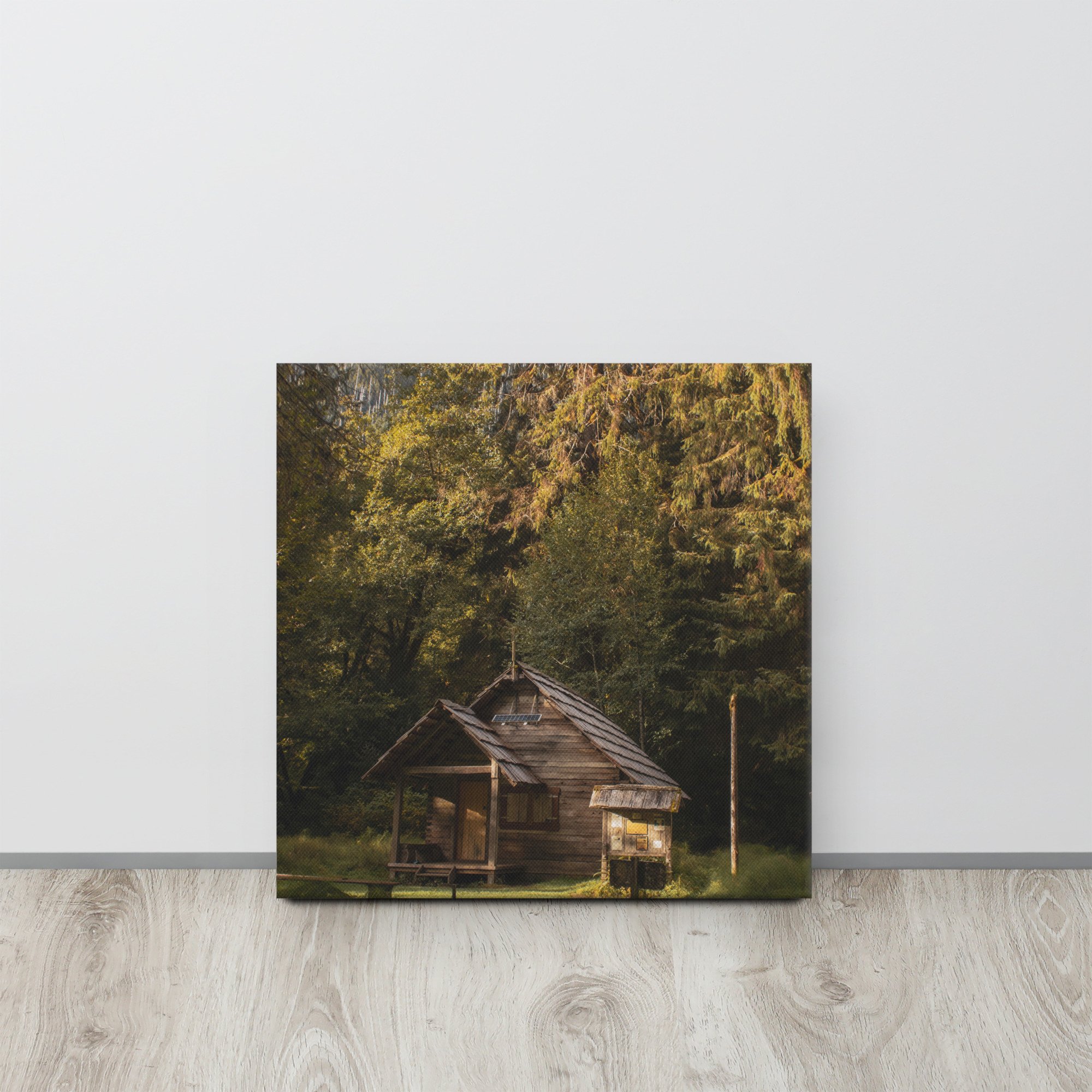 thin-canvas-(in)-16x16-front-642cfc388341d.jpg