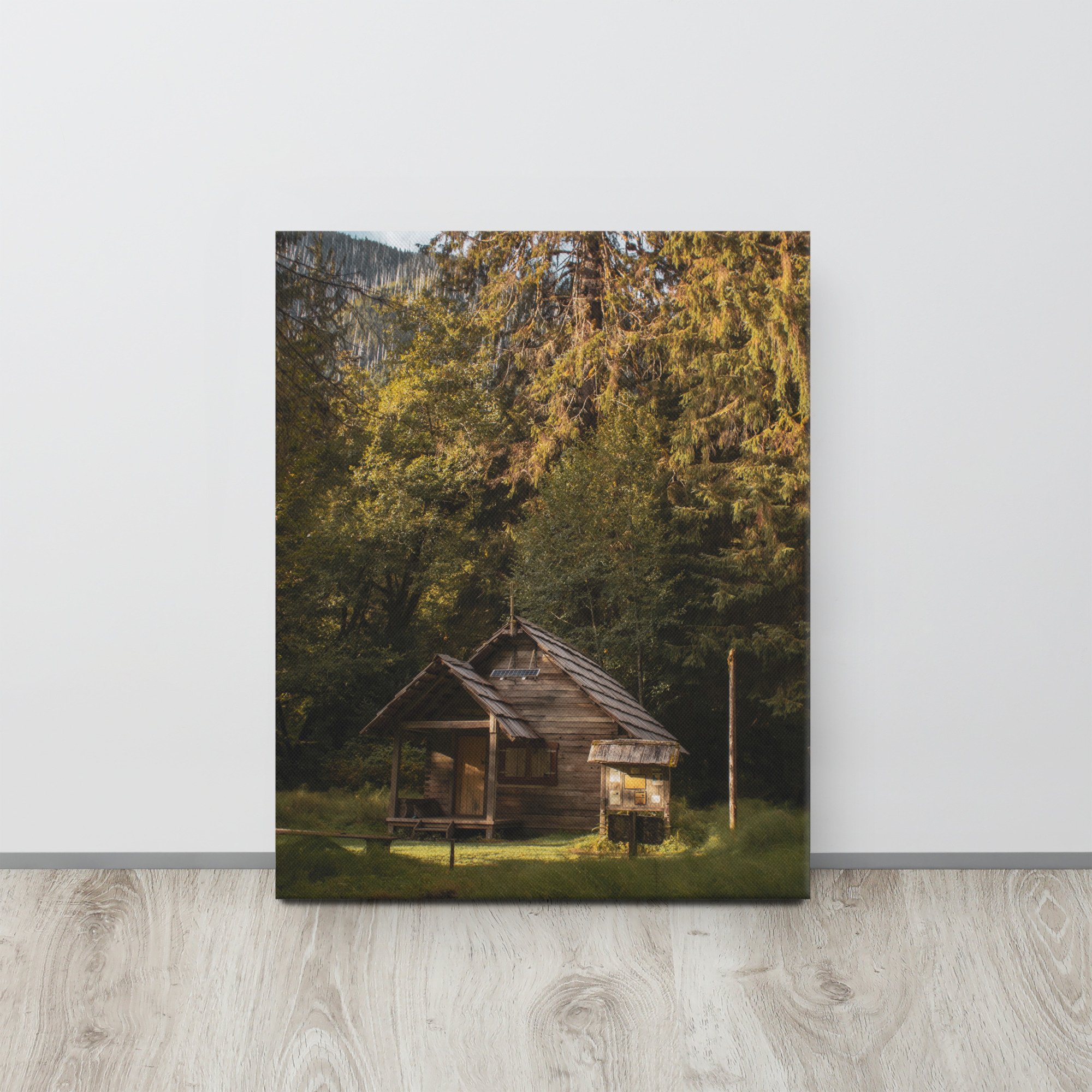 thin-canvas-(in)-16x20-front-642cfc3883466.jpg