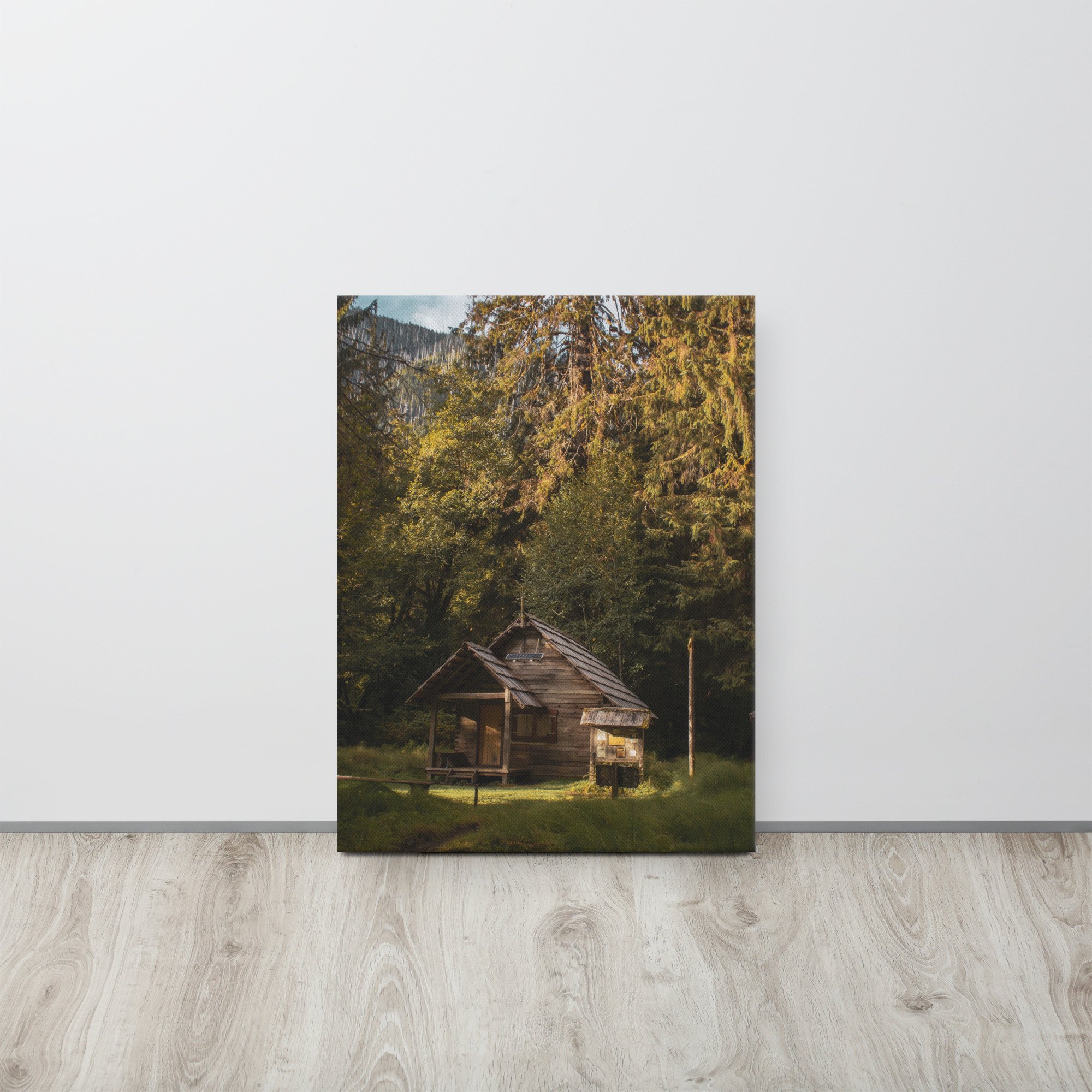 thin-canvas-(in)-18x24-front-642cfc38834c3.jpg