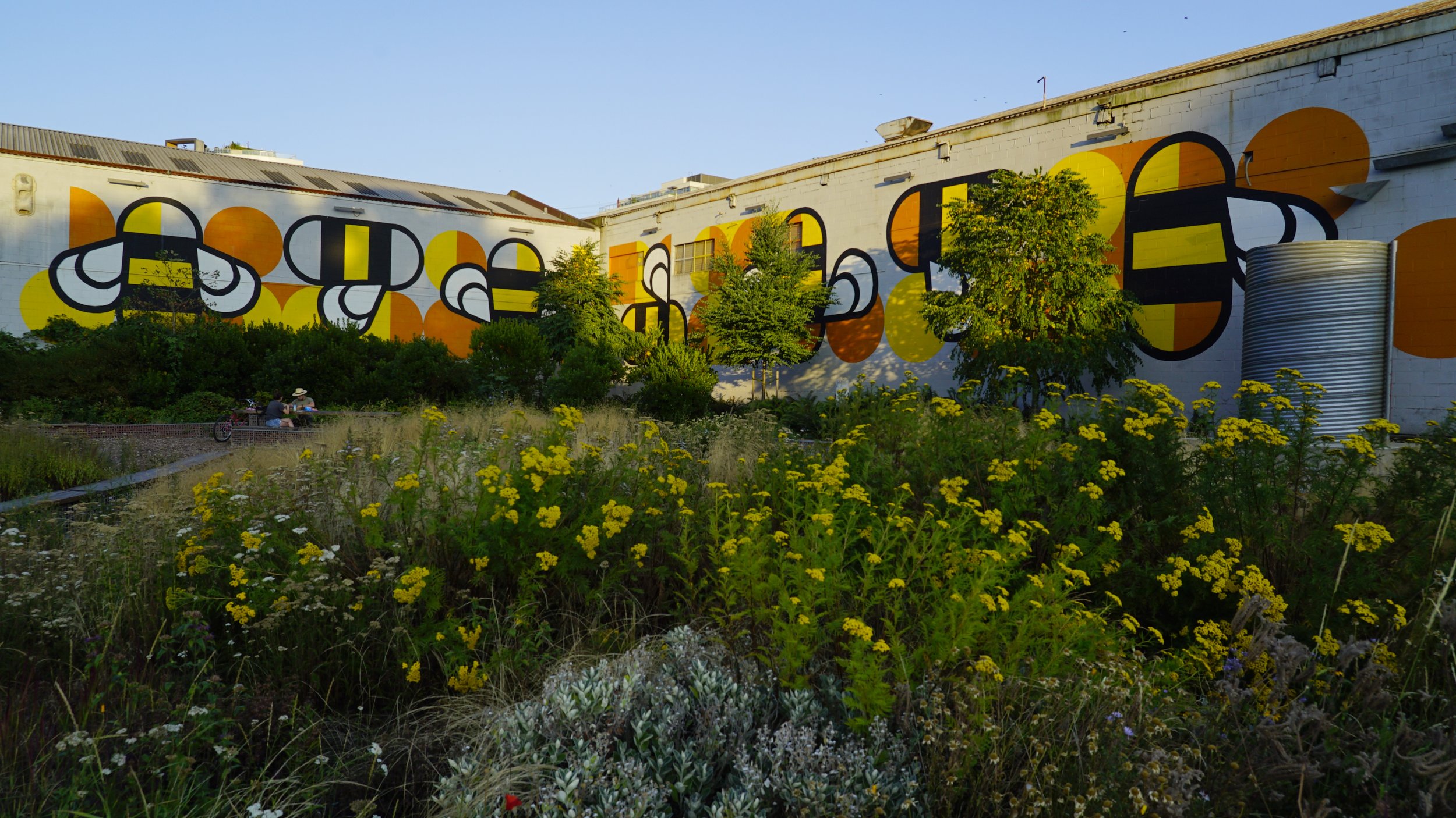 Overgrown Bees.jpg
