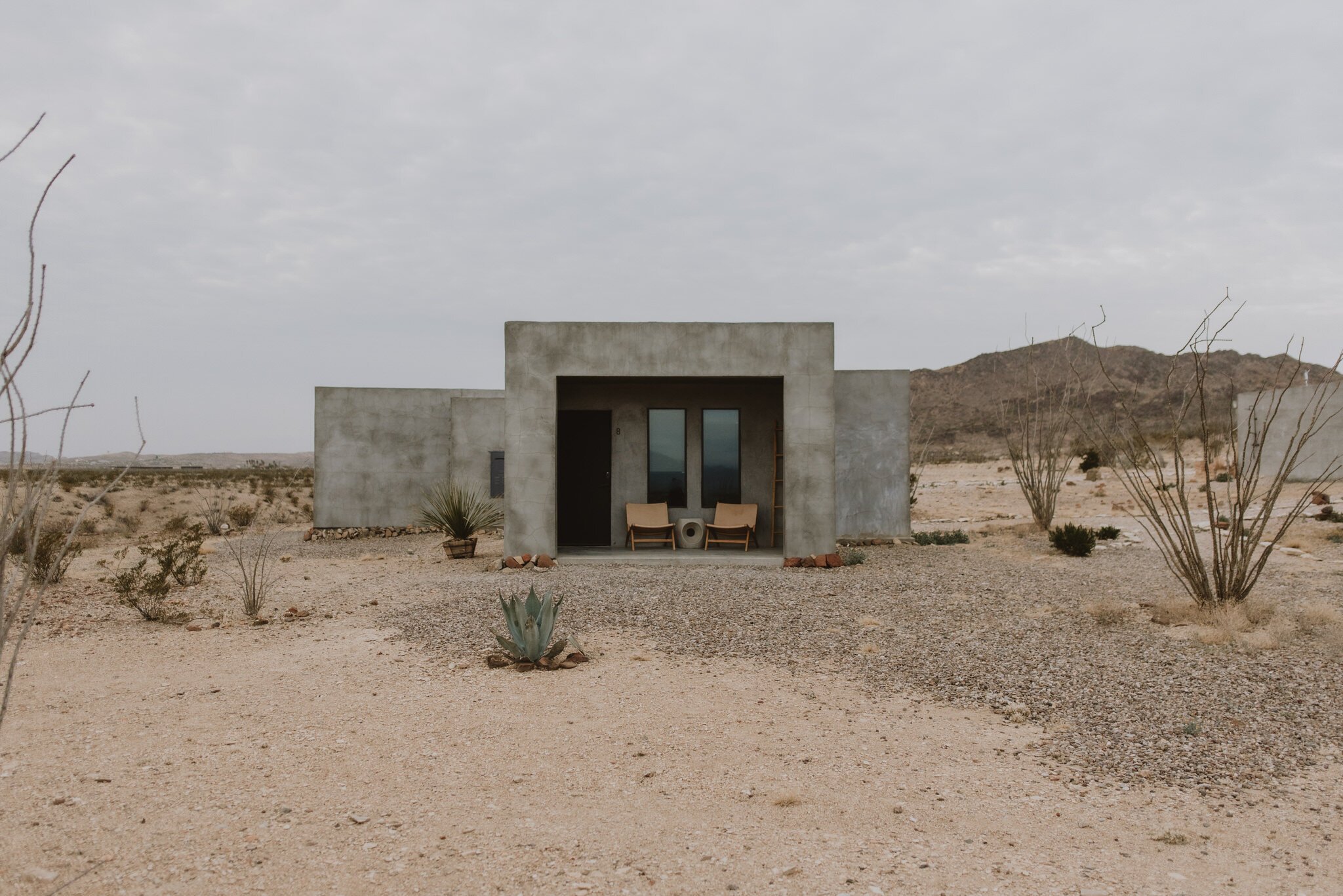 Kaylie-Sirek-Photography-Desert-Engagement-Willow-House-21.jpg