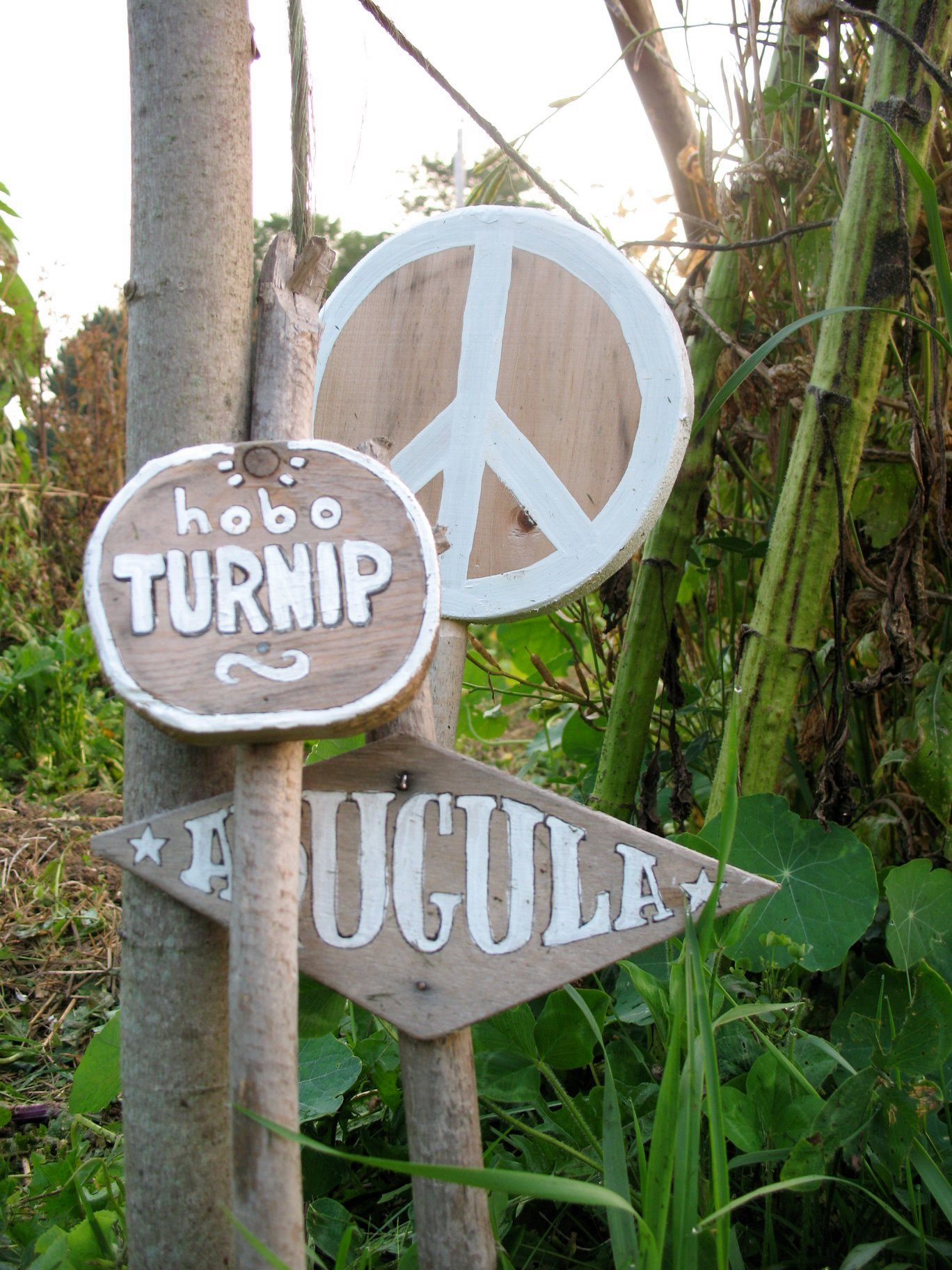Wooden peace sign and signs with the words "hobo turnip" and "Aguilla" attached to sticks in a garden surrounded by green plants and vines.