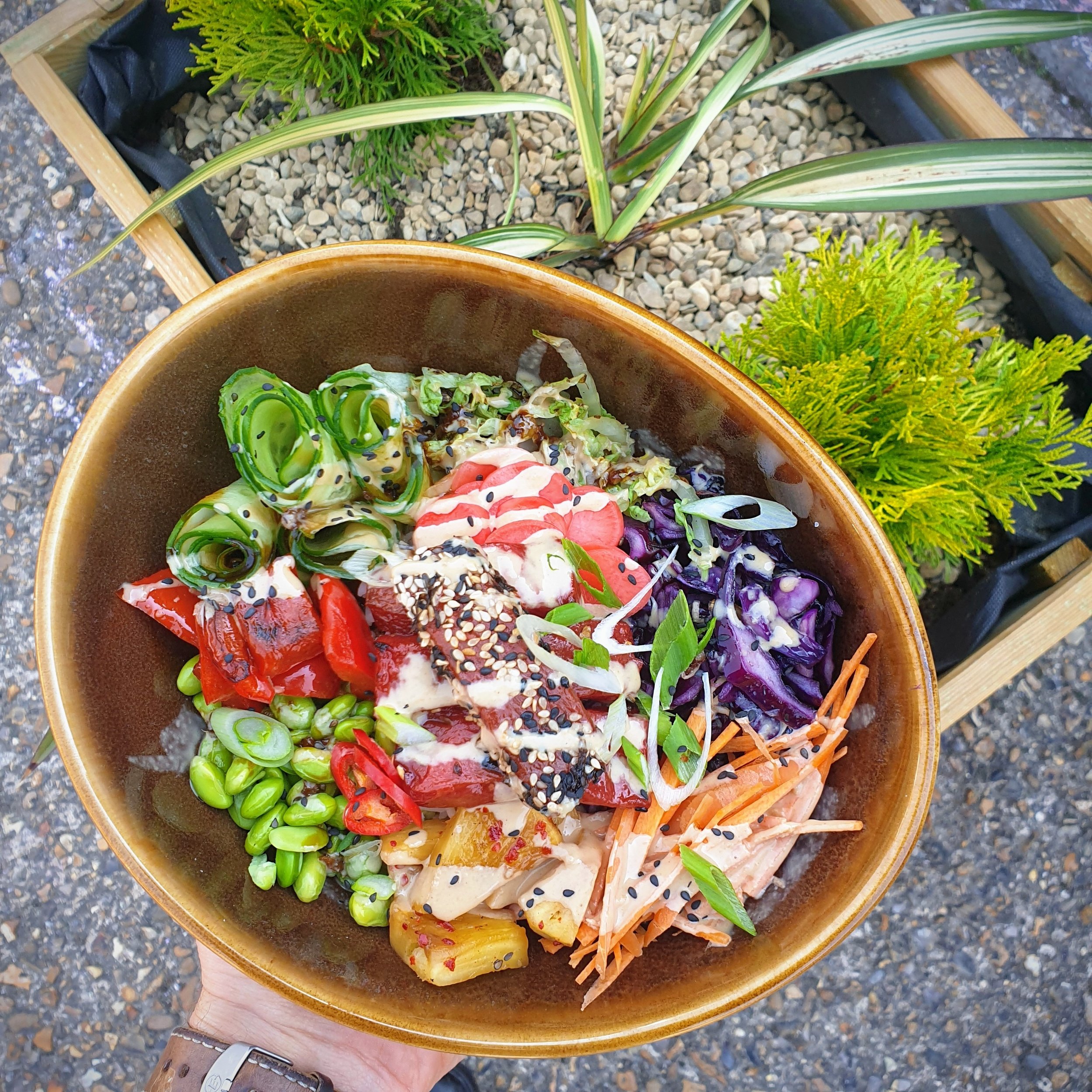 Vegan-Poke-Bowl-Watermelon-Tuna.jpg