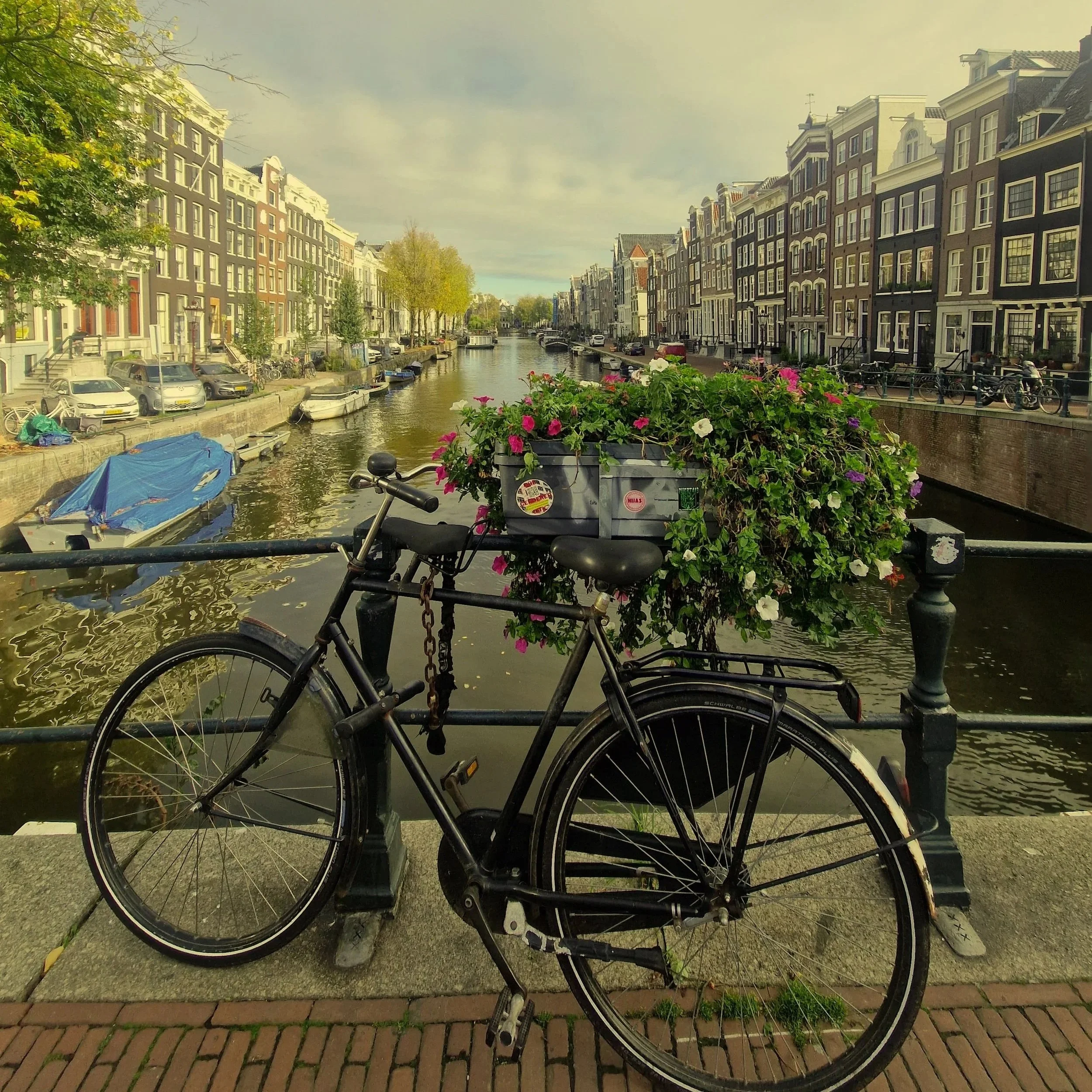 The Best Budget Vegan Food in Amsterdam: 5 Cheap &amp; Cheerful Finds for Your Weekend Trip