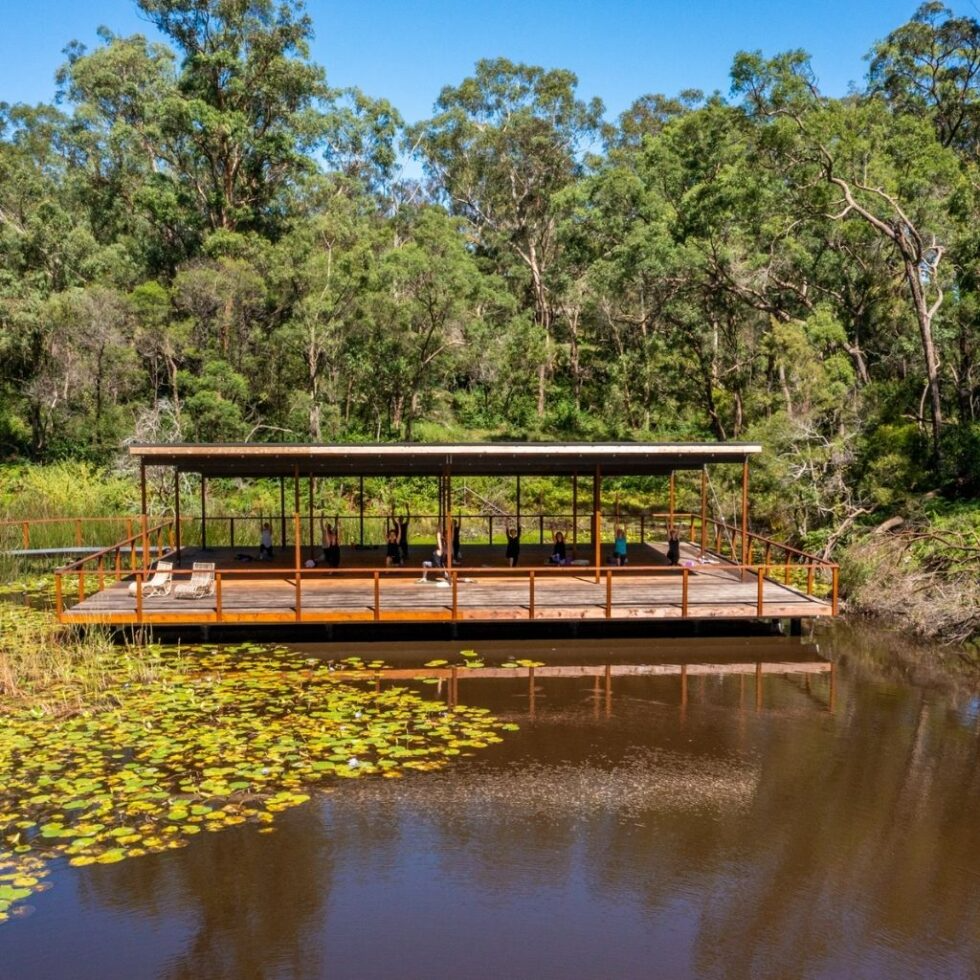 People practicing yoga on a wooden deck over a pond surrounded by trees and lily pads.