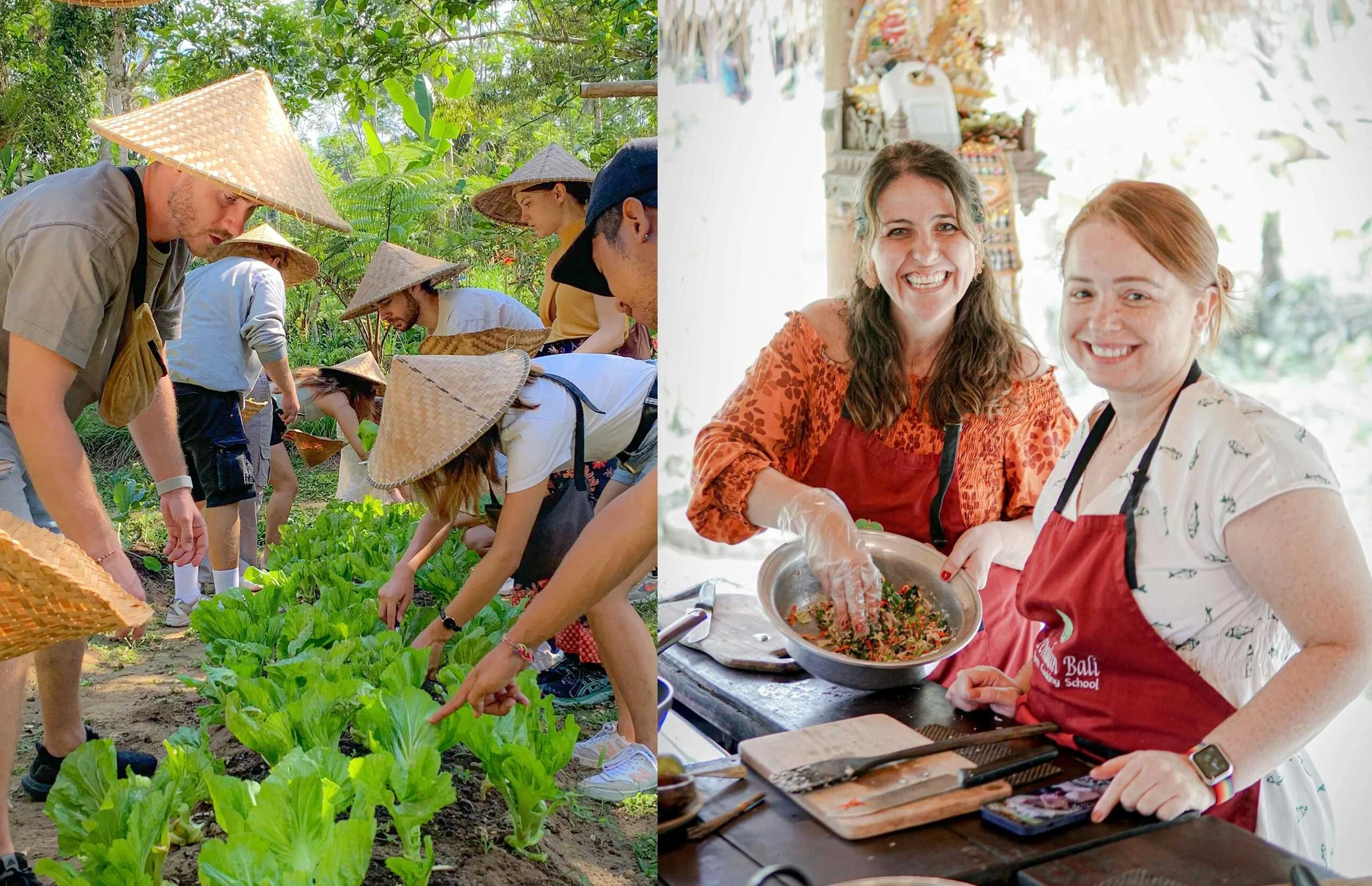 On the left side, people are gardening and harvesting vegetables outdoors in a lush green garden, wearing large straw hats. On the right side, women are cooking and preparing food in a bright indoor kitchen, smiling and wearing aprons.