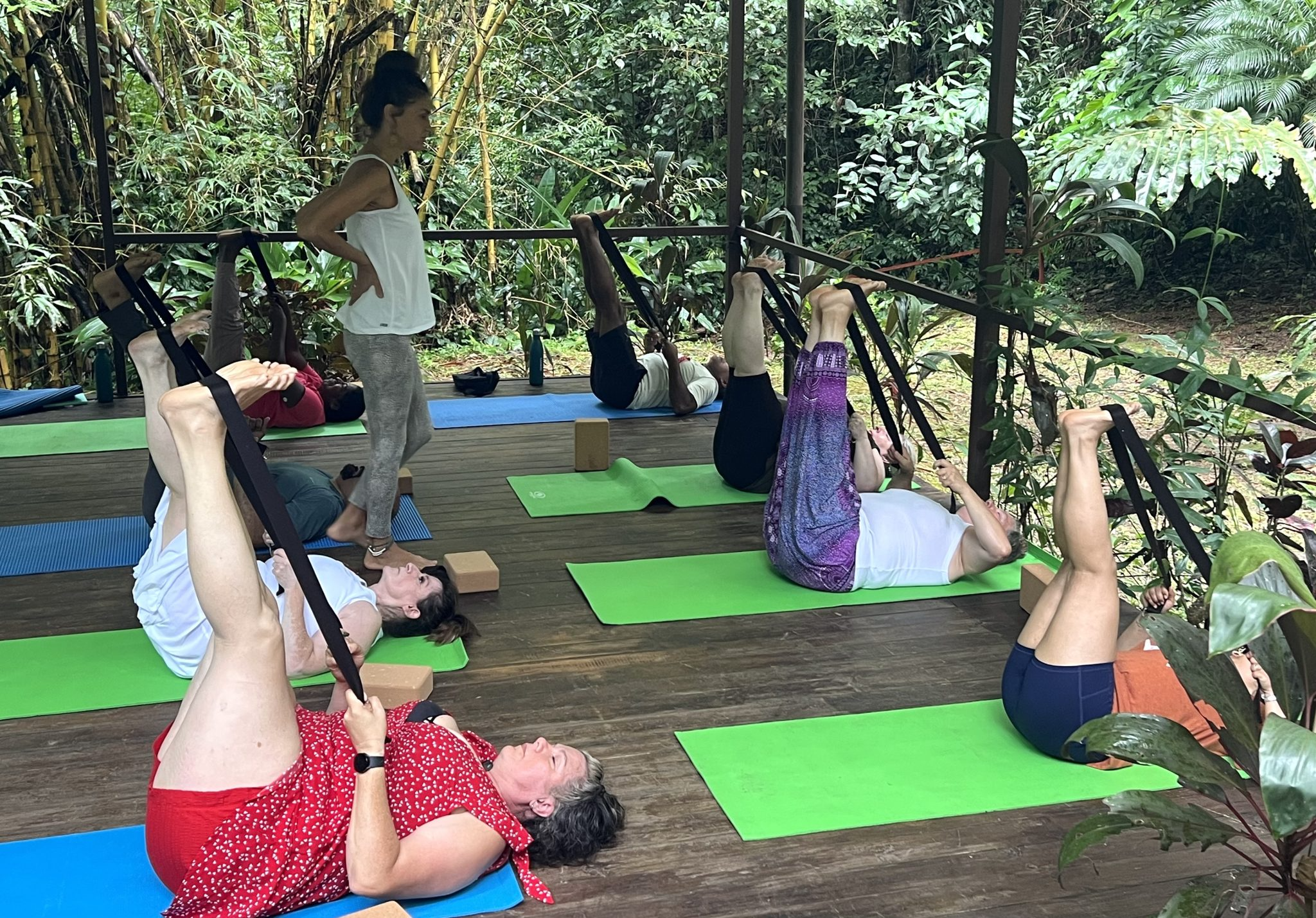 People practicing yoga on mats in a lush, outdoor jungle setting.