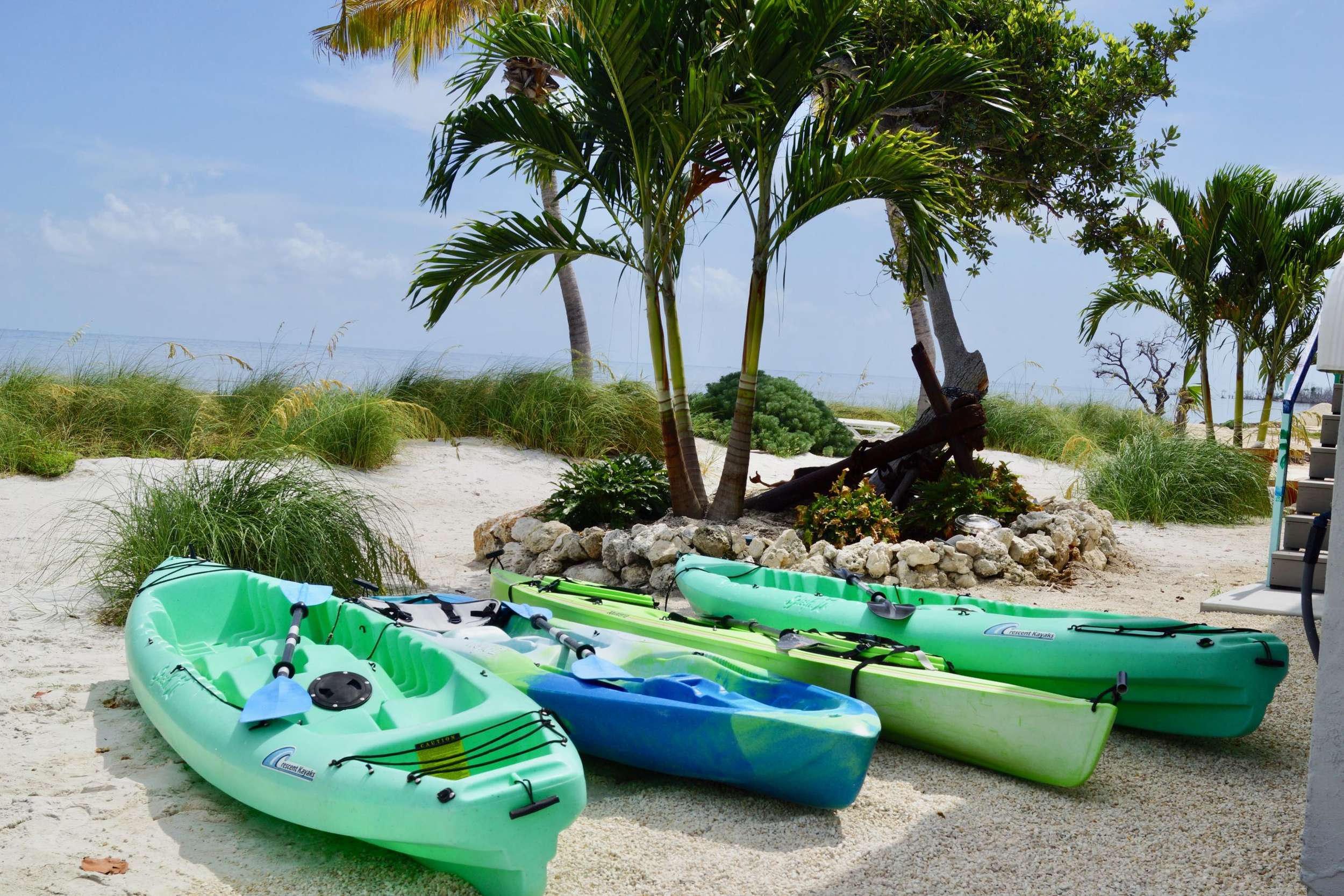 Four colorful kayaks on the sandy beach near palm trees with a view of the ocean in the background.