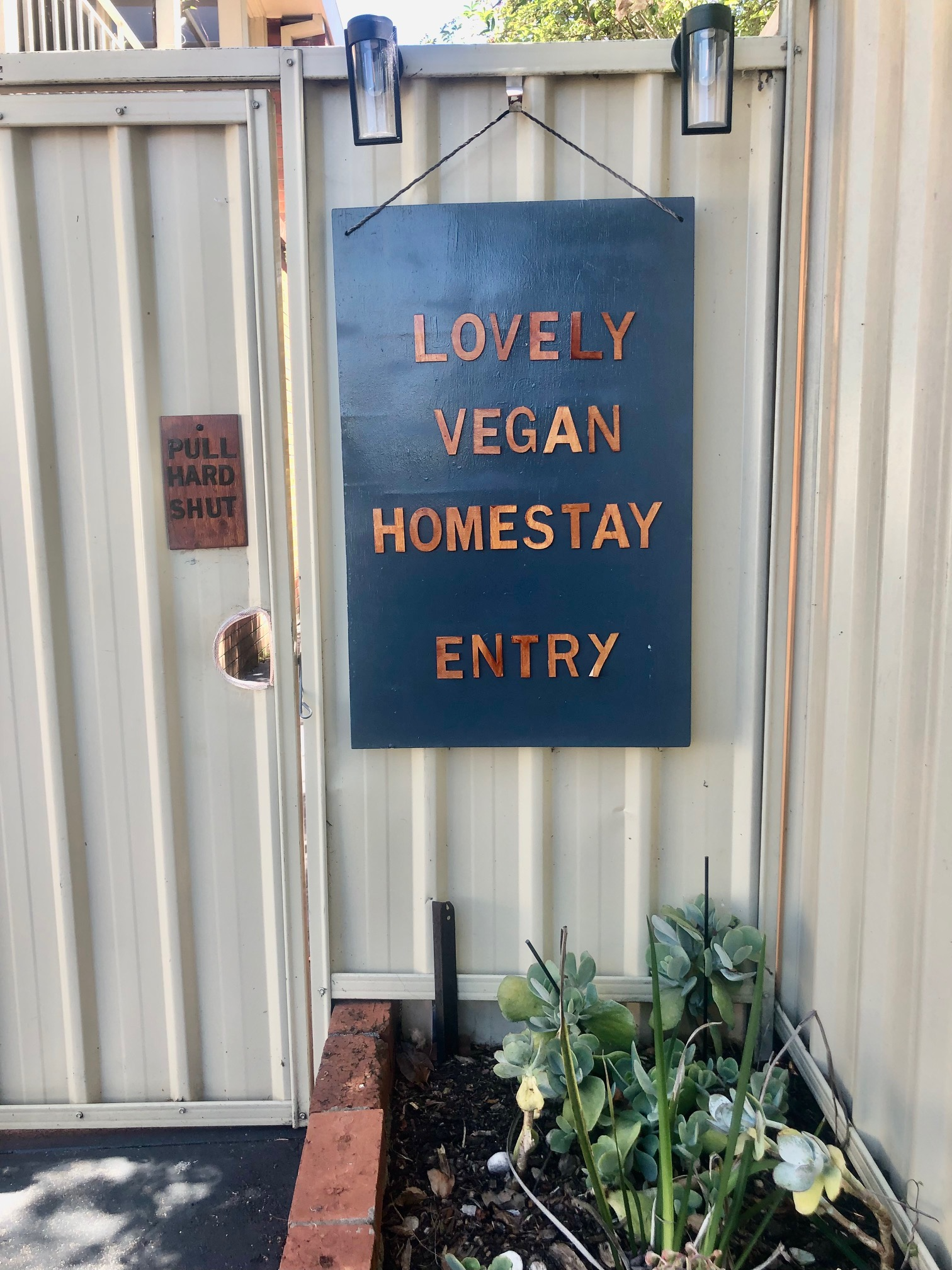 Decorative blue sign reading 'Lovely Vegan Homestay Entry' is mounted on a metal fence with black hangers. To the left, a small red sign reads 'Pull Hard Shut'. There are plants in the foreground with a few succulents and a white small cut vegetable or fruit. Behind the fence, part of a brick wall and a building are visible.