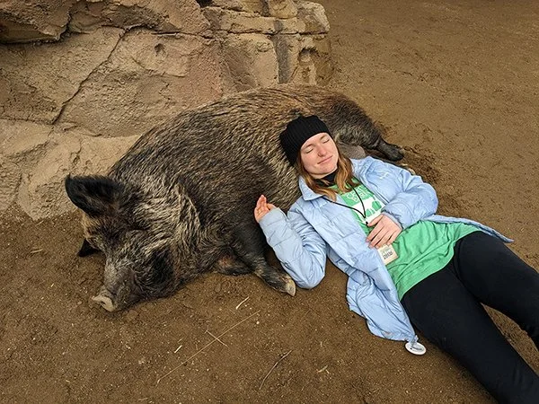 Young woman with a beanie and green T-shirt lying on the ground, resting her head and shoulder on a large, sleeping wild boar. The boar is lying on its side against a rocky wall, on dirt ground.