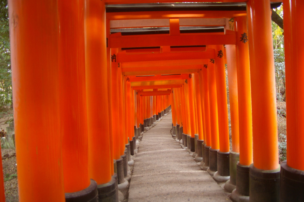A pathway through a series of closely spaced red torii gates at a Japanese shrine.