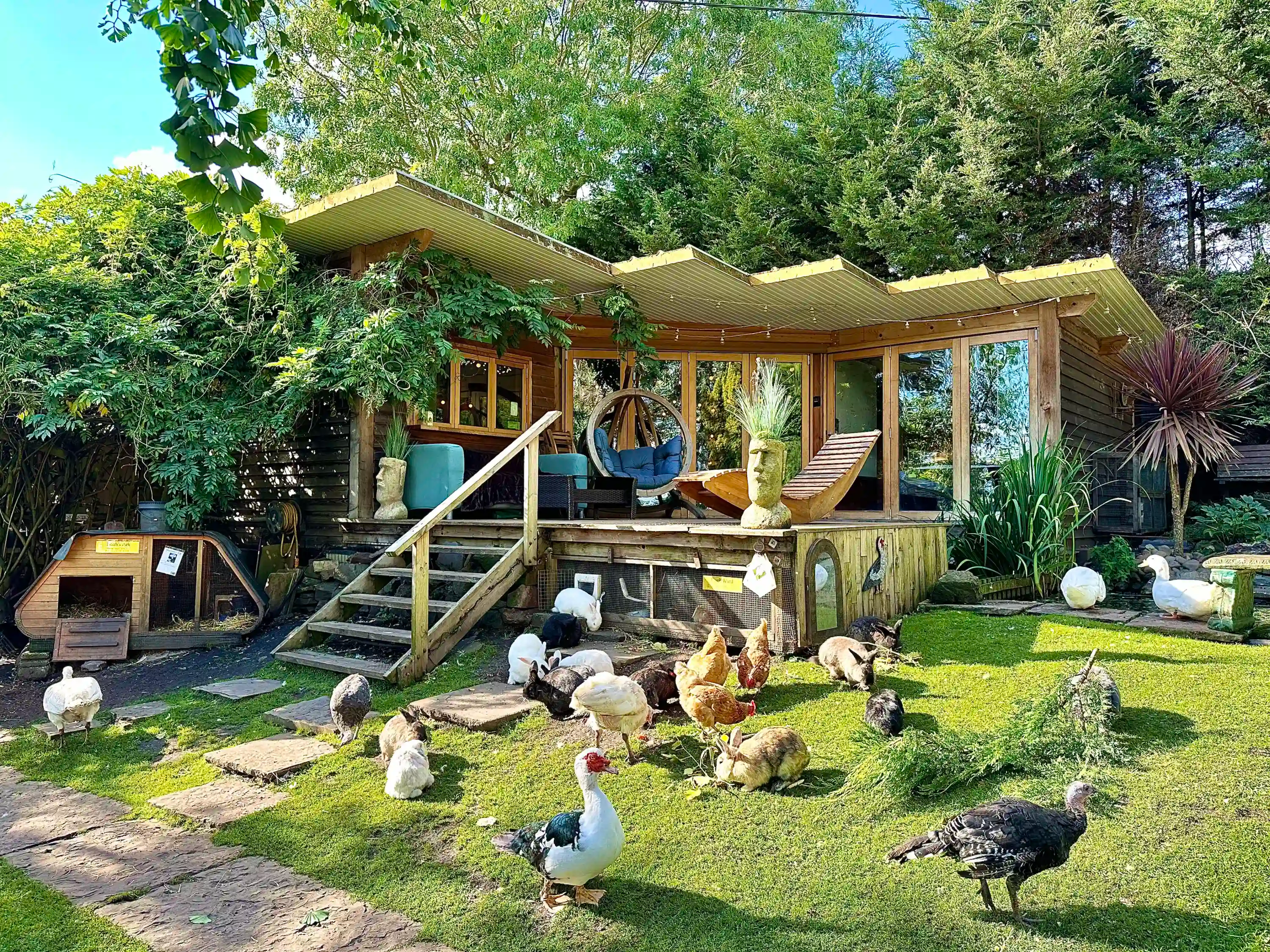 A backyard scene with a wooden coop and a variety of chickens and ducks on the lawn. The coop has a sloped roof and large windows, and is surrounded by lush green trees and plants.