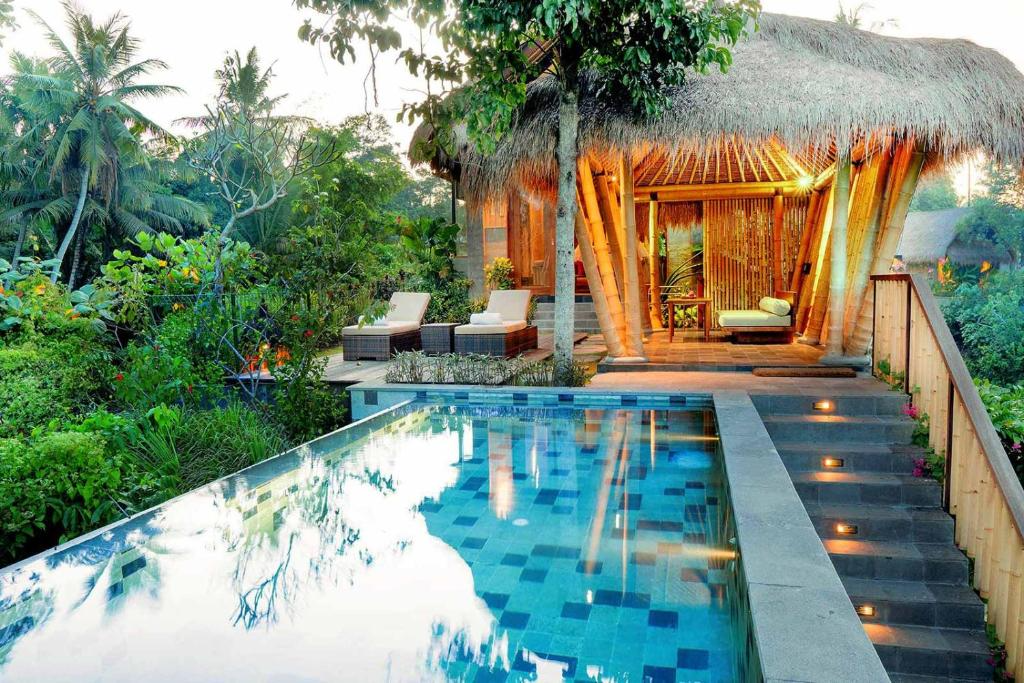 Tropical outdoor pool area with lounging chairs and a thatched-roof hut surrounded by lush green plants and trees.